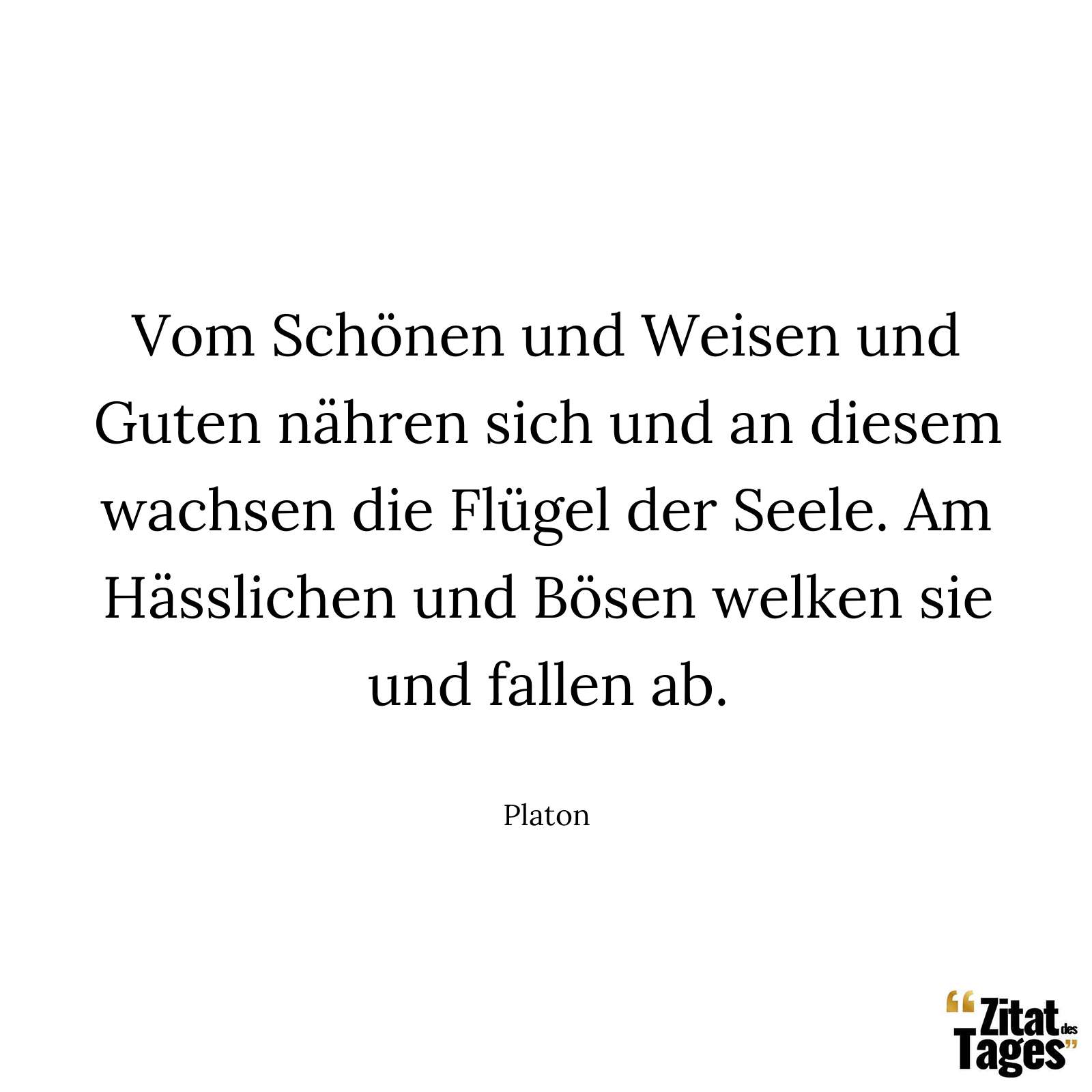 Vom Schönen und Weisen und Guten nähren sich und an diesem wachsen die Flügel der Seele. Am Hässlichen und Bösen welken sie und fallen ab. - Platon