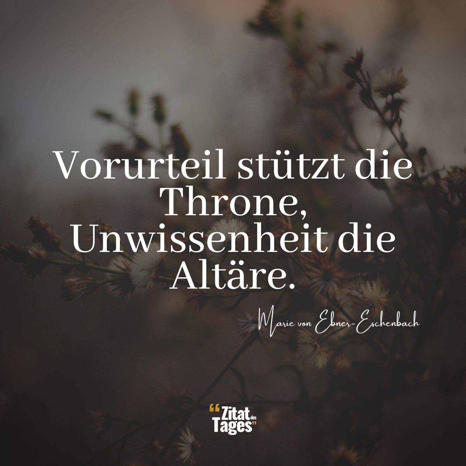 Vorurteil stützt die Throne, Unwissenheit die Altäre. - Marie von Ebner-Eschenbach