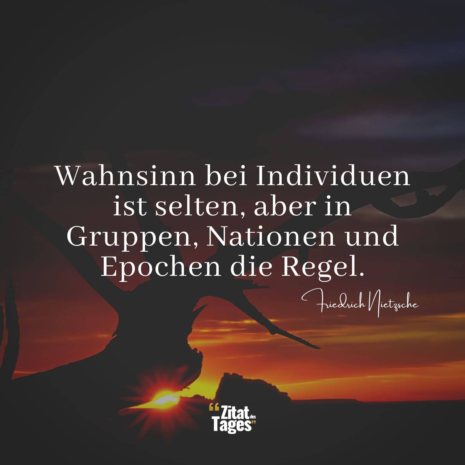 Wahnsinn bei Individuen ist selten, aber in Gruppen, Nationen und Epochen die Regel. - Friedrich Nietzsche