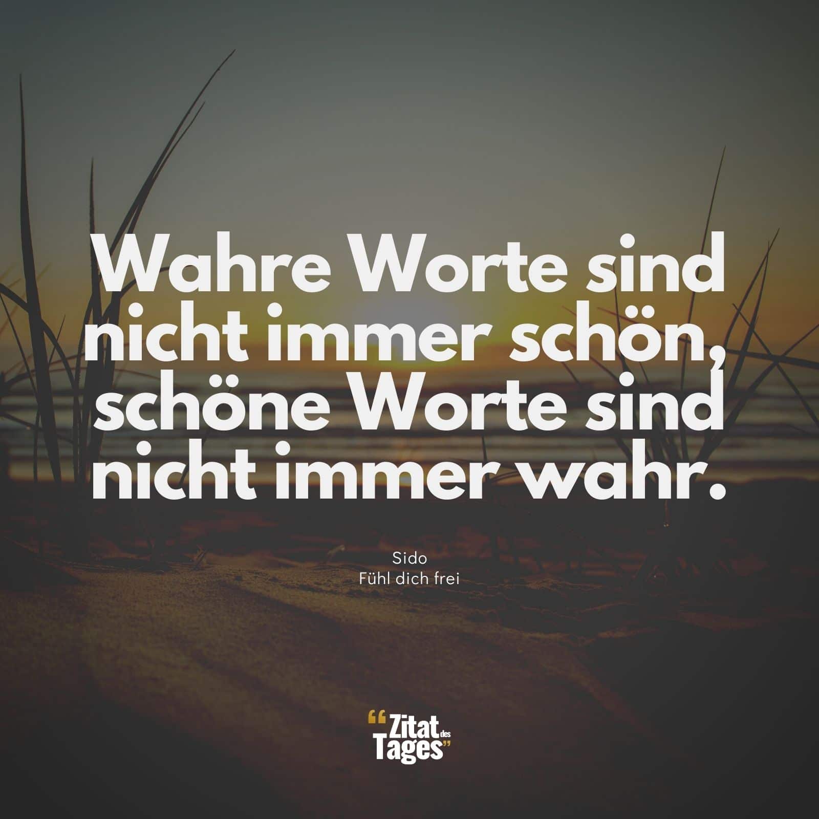 Wahre Worte sind nicht immer schön, schöne Worte sind nicht immer wahr. - Sido