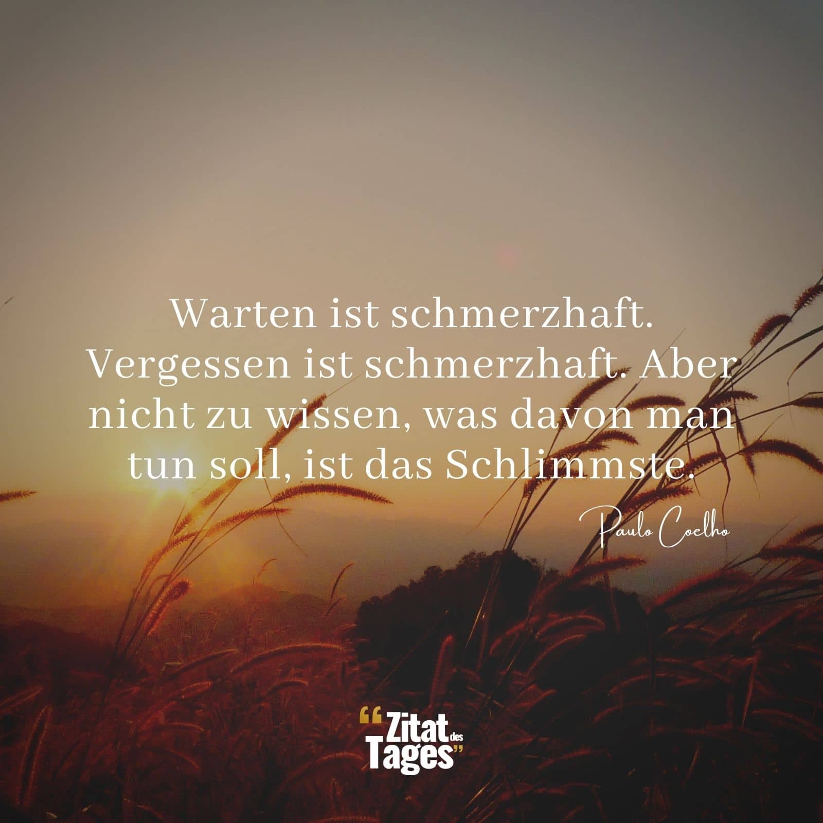 Warten ist schmerzhaft. Vergessen ist schmerzhaft. Aber nicht zu wissen, was davon man tun soll, ist das Schlimmste. - Paulo Coelho