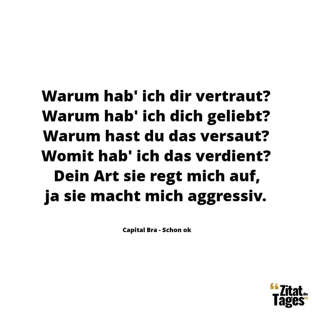 Warum hab' ich dir vertraut? Warum hab' ich dich geliebt? Warum hast du das versaut? Womit hab' ich das verdient? Dein Art sie regt mich auf, ja sie macht mich aggressiv. - Capital Bra