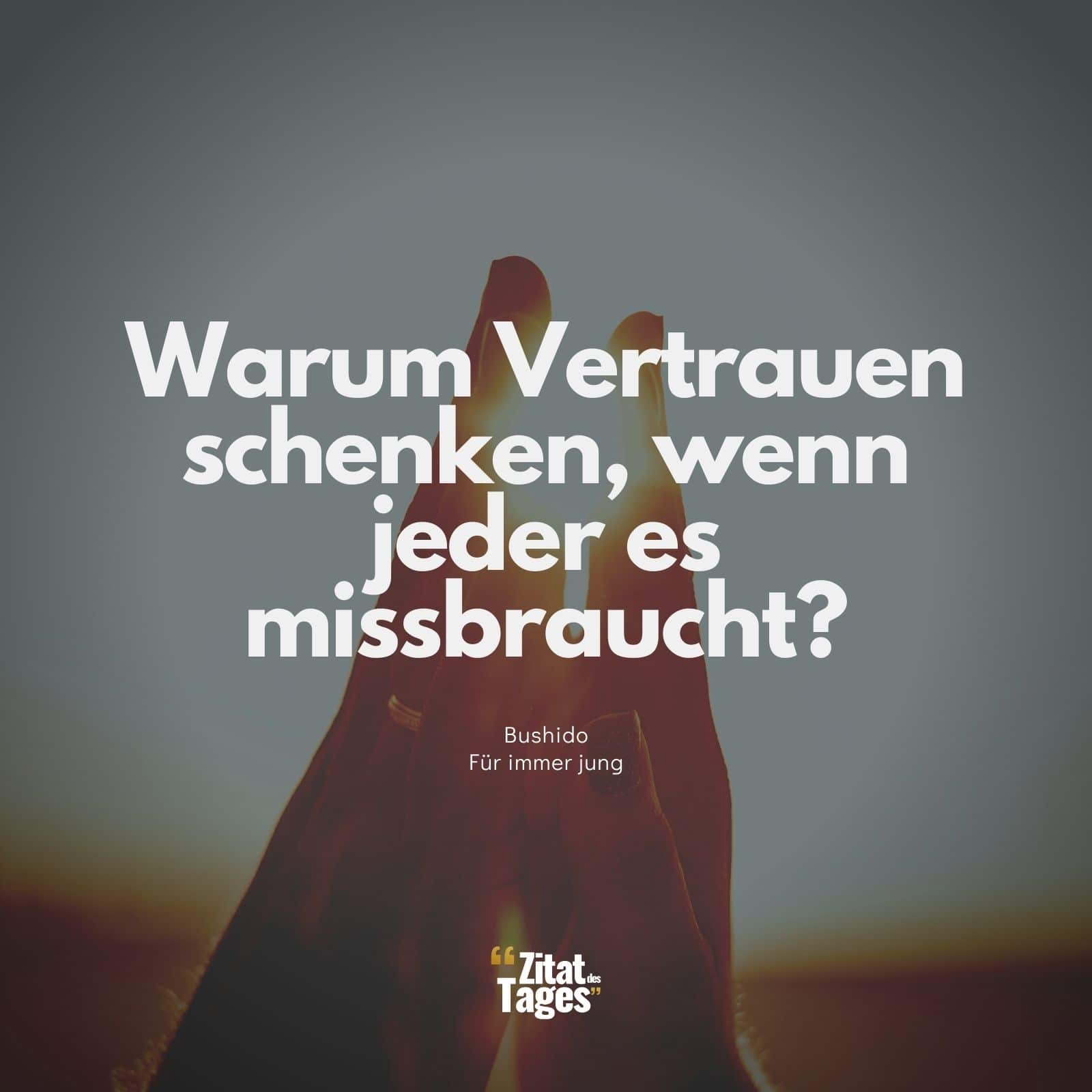 Warum Vertrauen schenken, wenn jeder es missbraucht? - Bushido