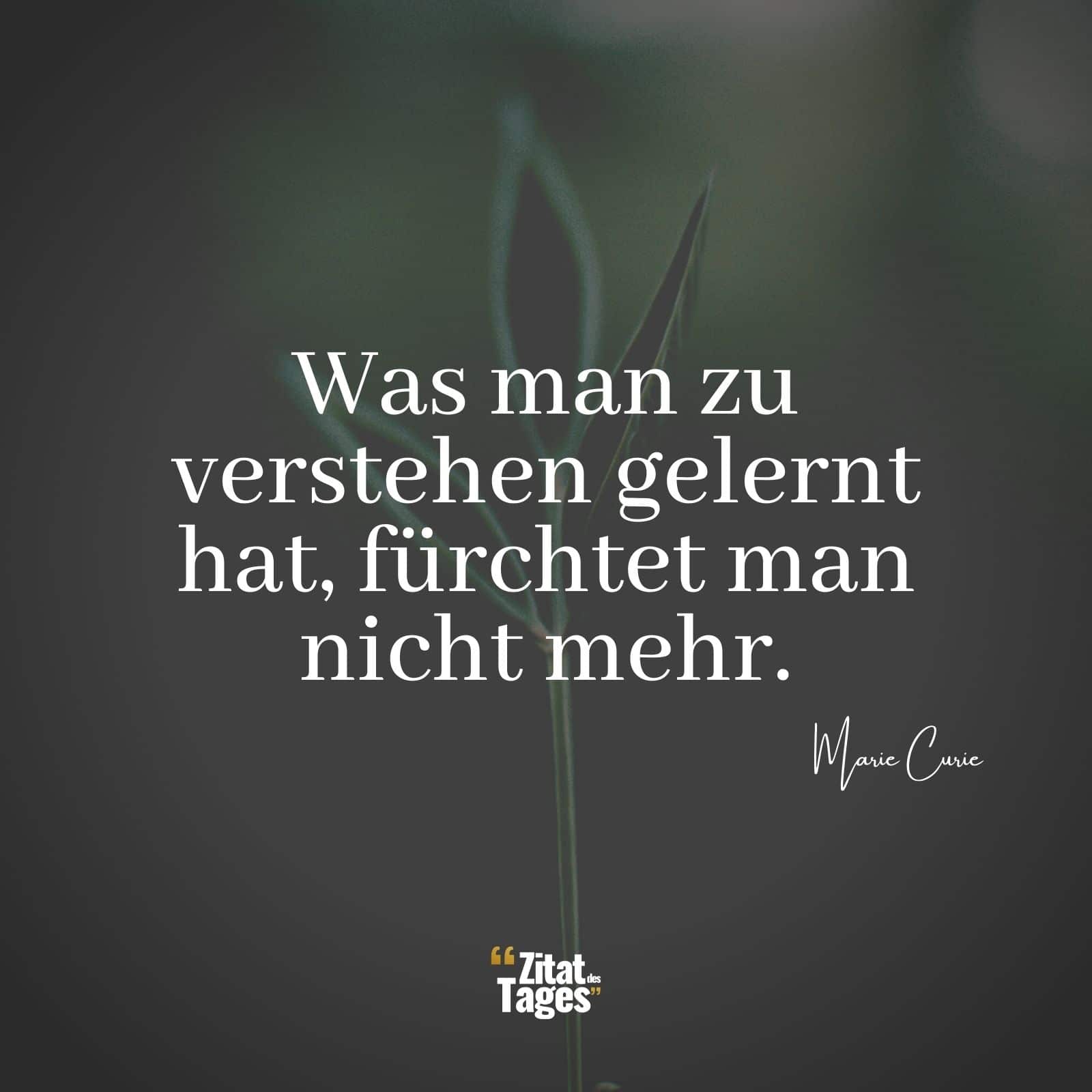 Was man zu verstehen gelernt hat, fürchtet man nicht mehr. - Marie Curie