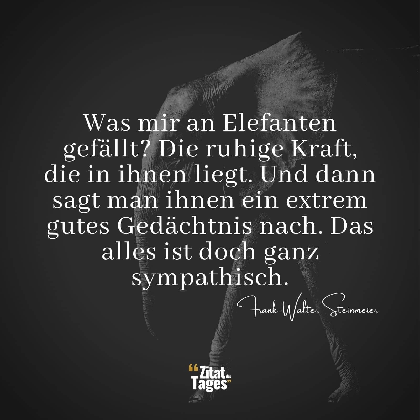 Was mir an Elefanten gefällt? Die ruhige Kraft, die in ihnen liegt. Und dann sagt man ihnen ein extrem gutes Gedächtnis nach. Das alles ist doch ganz sympathisch. - Frank-Walter Steinmeier