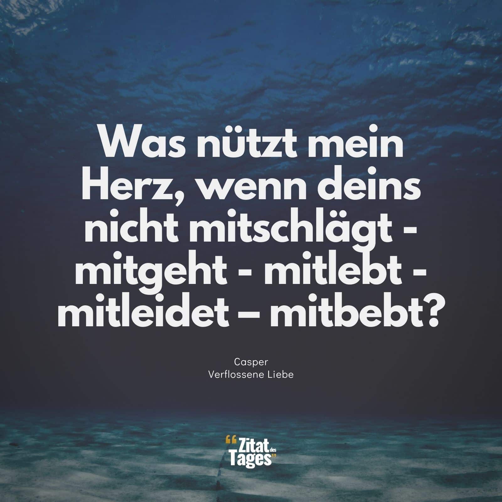 Was nützt mein Herz, wenn deins nicht mitschlägt - mitgeht - mitlebt - mitleidet – mitbebt? - Casper