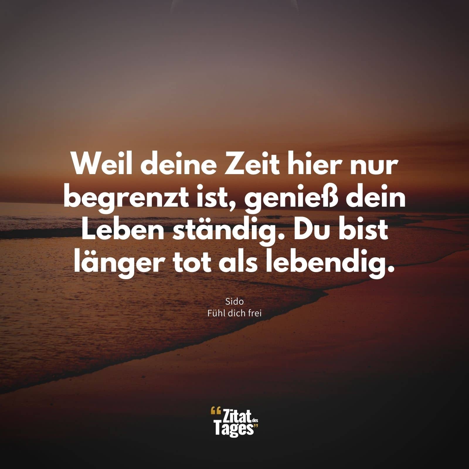 Weil deine Zeit hier nur begrenzt ist, genieß dein Leben ständig. Du bist länger tot als lebendig. - Sido