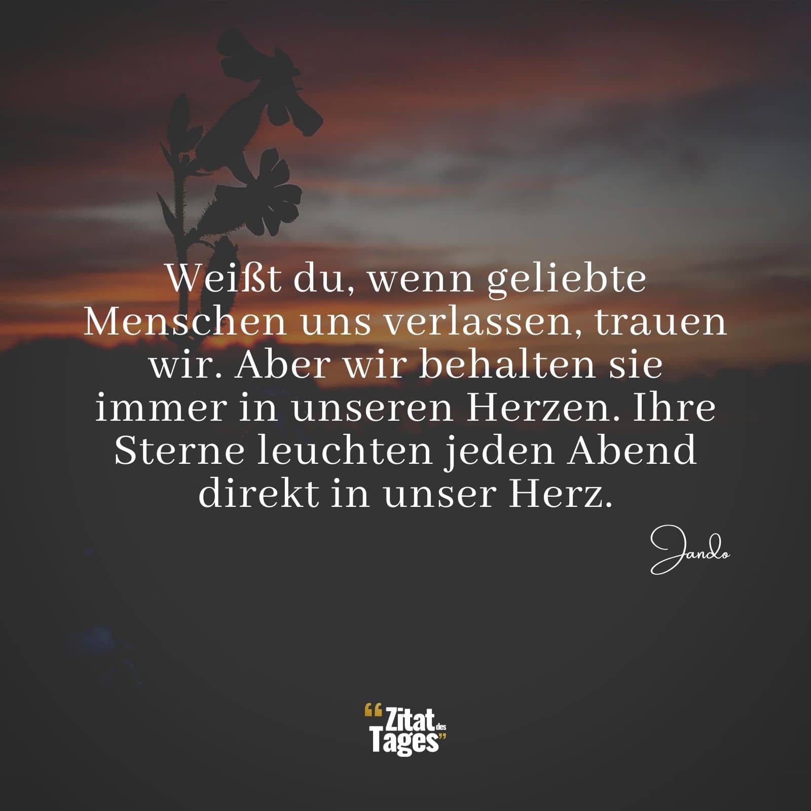 Weißt du, wenn geliebte Menschen uns verlassen, trauen wir. Aber wir behalten sie immer in unseren Herzen. Ihre Sterne leuchten jeden Abend direkt in unser Herz. - Jando