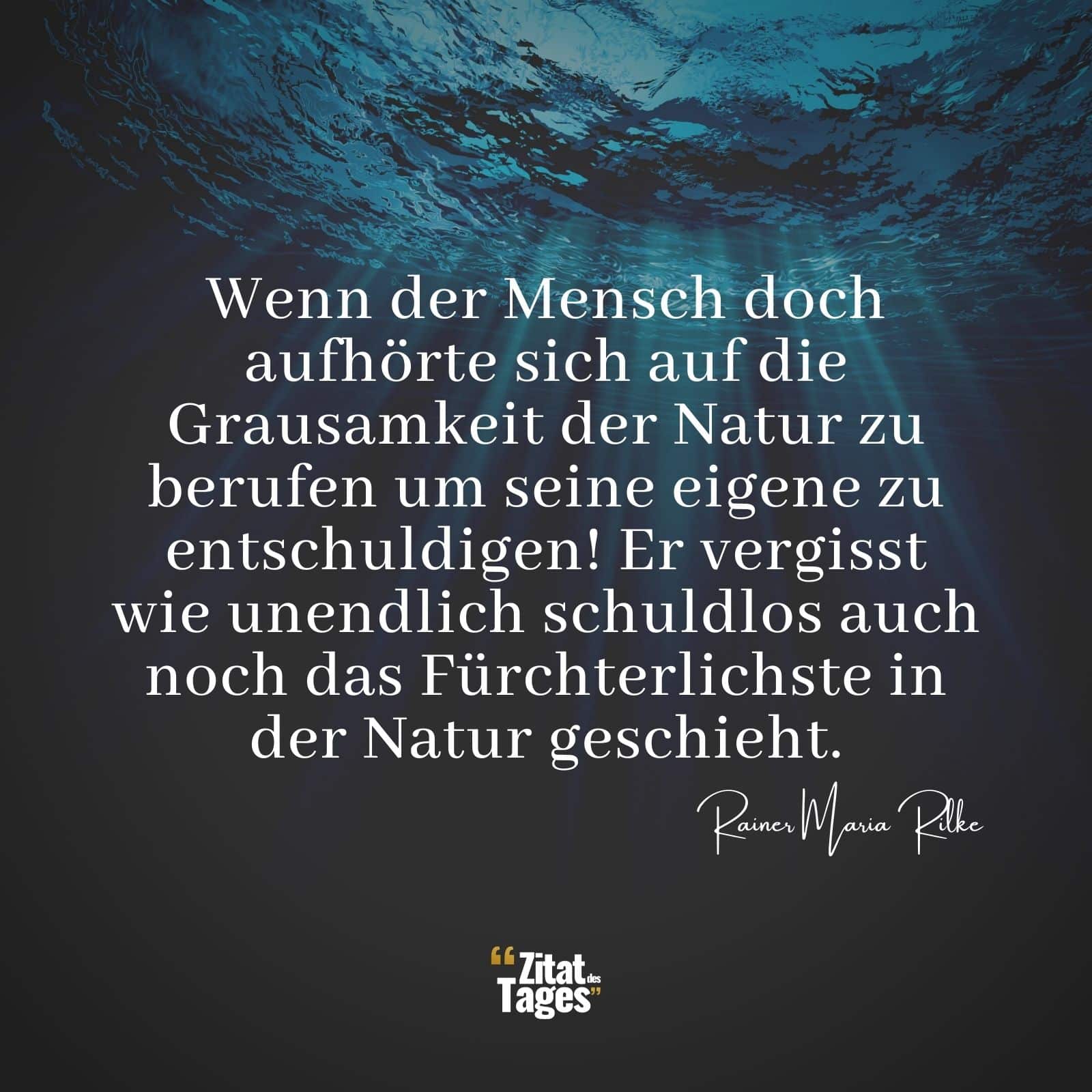 Wenn der Mensch doch aufhörte sich auf die Grausamkeit der Natur zu berufen um seine eigene zu entschuldigen! Er vergisst wie unendlich schuldlos auch noch das Fürchterlichste in der Natur geschieht. - Rainer Maria Rilke