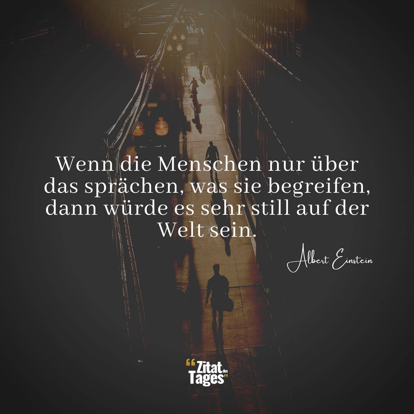 Wenn die Menschen nur über das sprächen, was sie begreifen, dann würde es sehr still auf der Welt sein. - Albert Einstein
