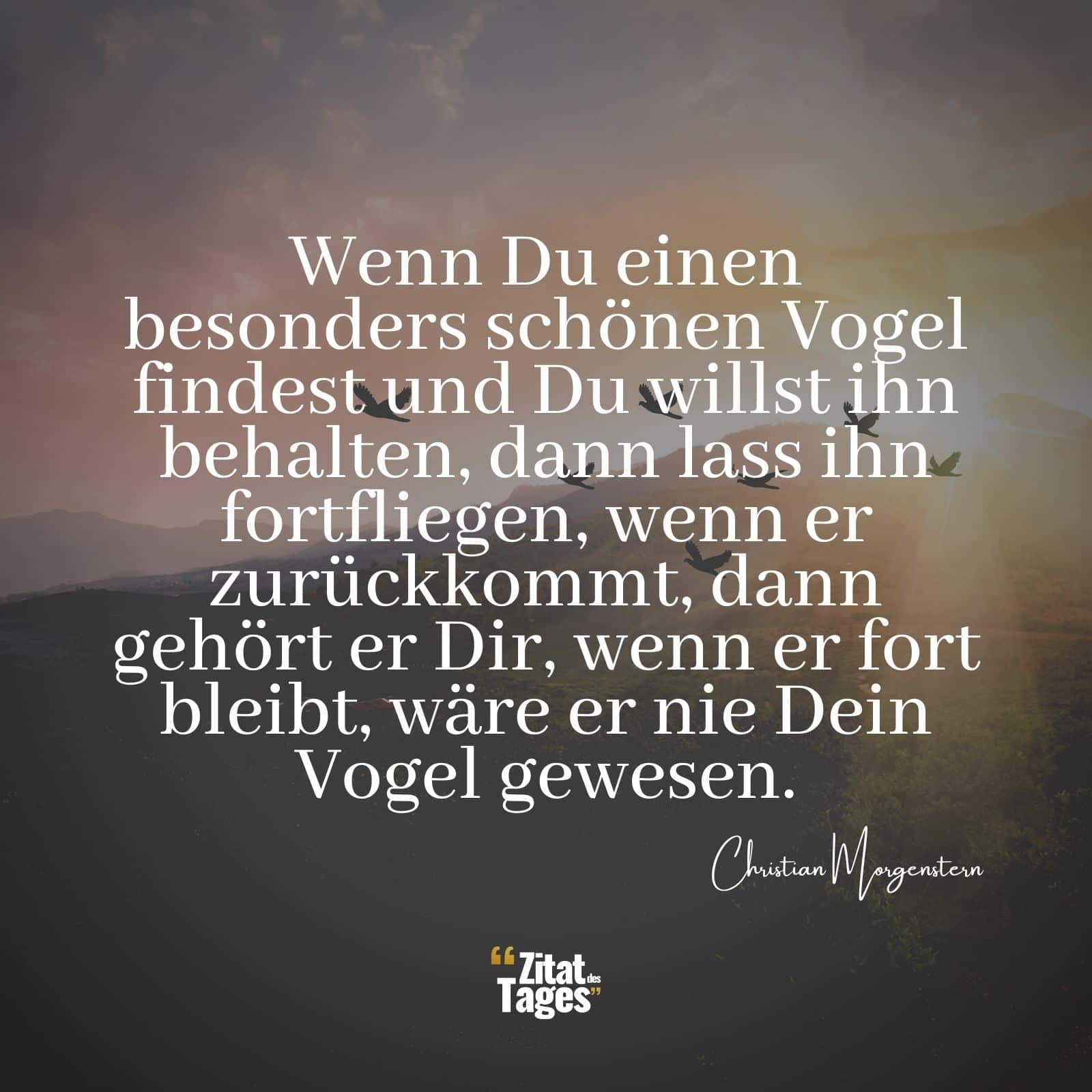 Wenn Du einen besonders schönen Vogel findest und Du willst ihn behalten, dann lass ihn fortfliegen, wenn er zurückkommt, dann gehört er Dir, wenn er fort bleibt, wäre er nie Dein Vogel gewesen. - Christian Morgenstern