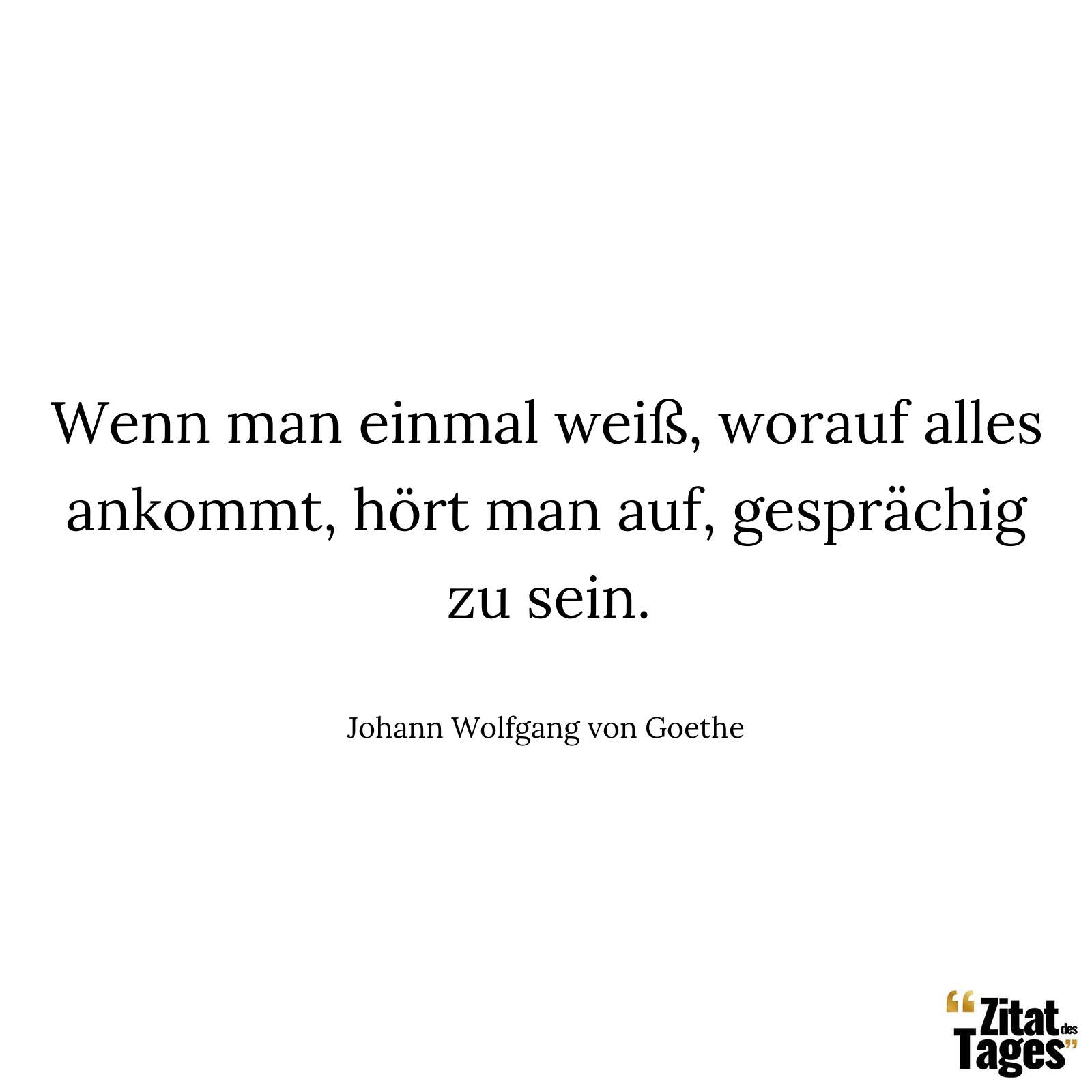 Wenn man einmal weiß, worauf alles ankommt, hört man auf, gesprächig zu sein. - Johann Wolfgang von Goethe