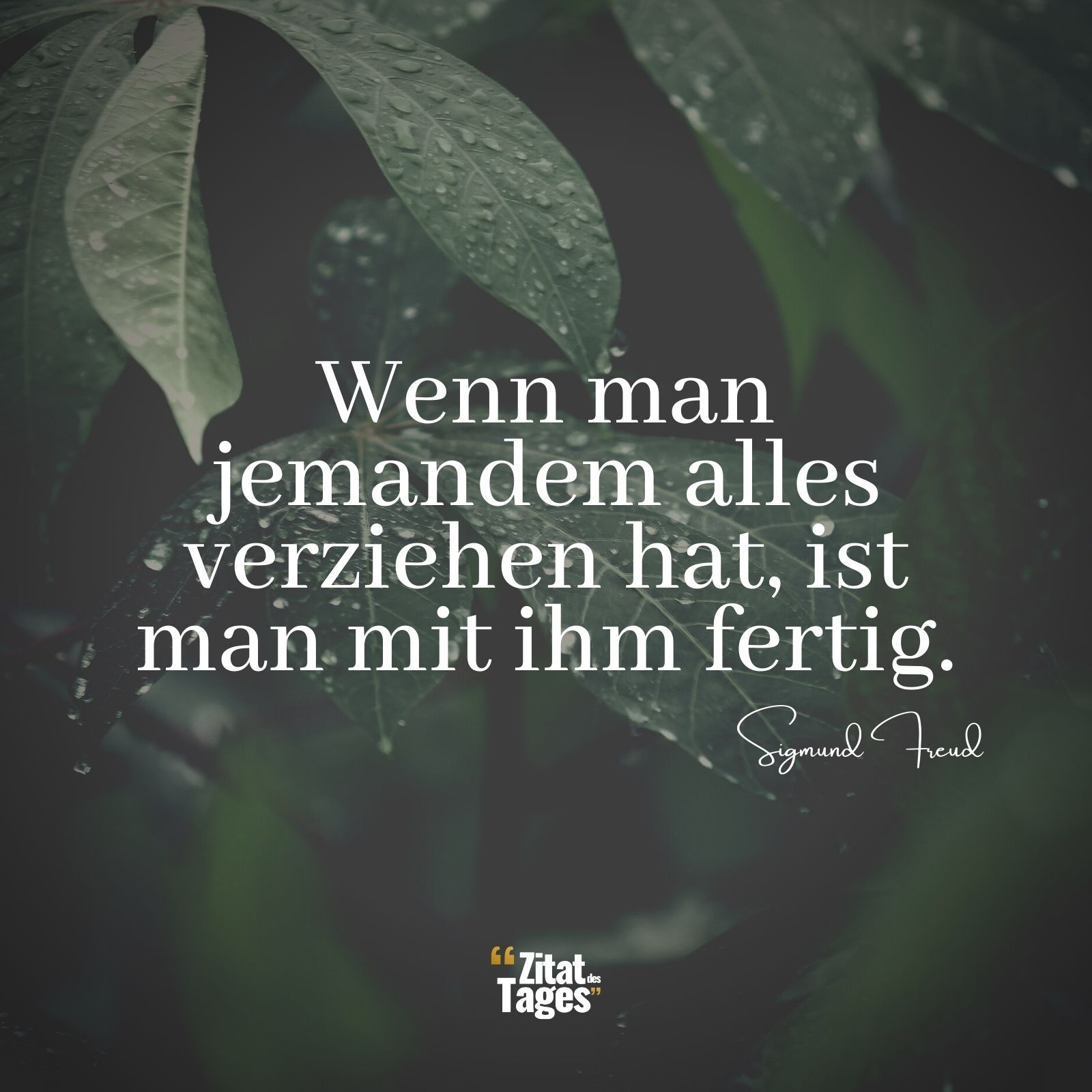 Wenn man jemandem alles verziehen hat, ist man mit ihm fertig. - Sigmund Freud