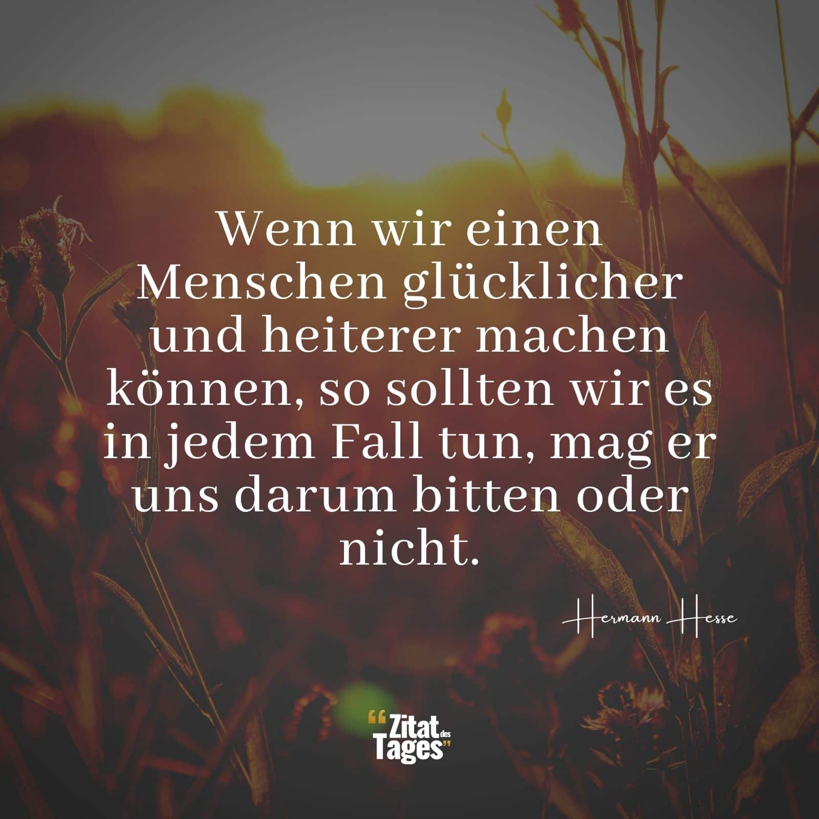 Wenn wir einen Menschen glücklicher und heiterer machen können, so sollten wir es in jedem Fall tun, mag er uns darum bitten oder nicht. - Hermann Hesse