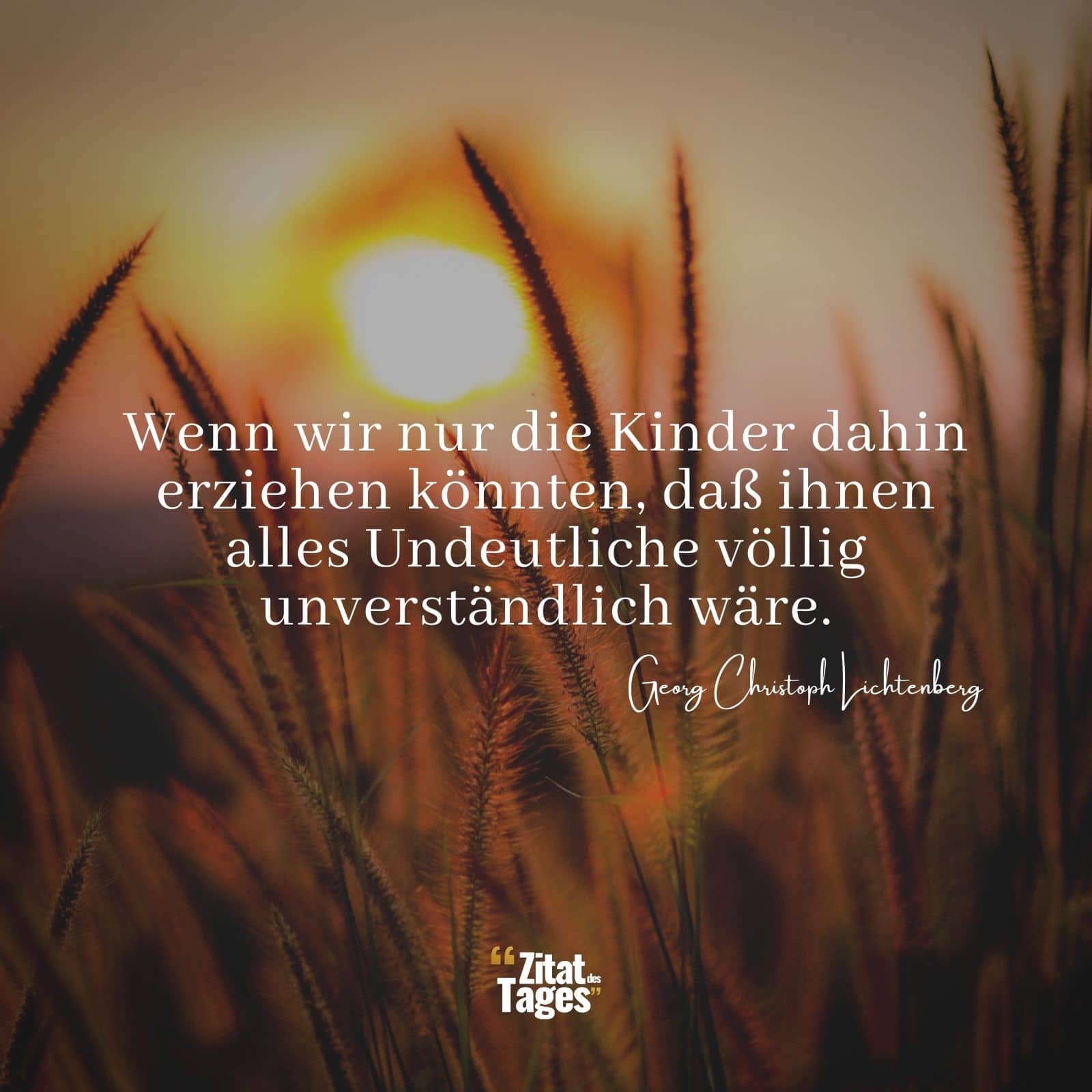 Wenn wir nur die Kinder dahin erziehen könnten, daß ihnen alles Undeutliche völlig unverständlich wäre. - Georg Christoph Lichtenberg