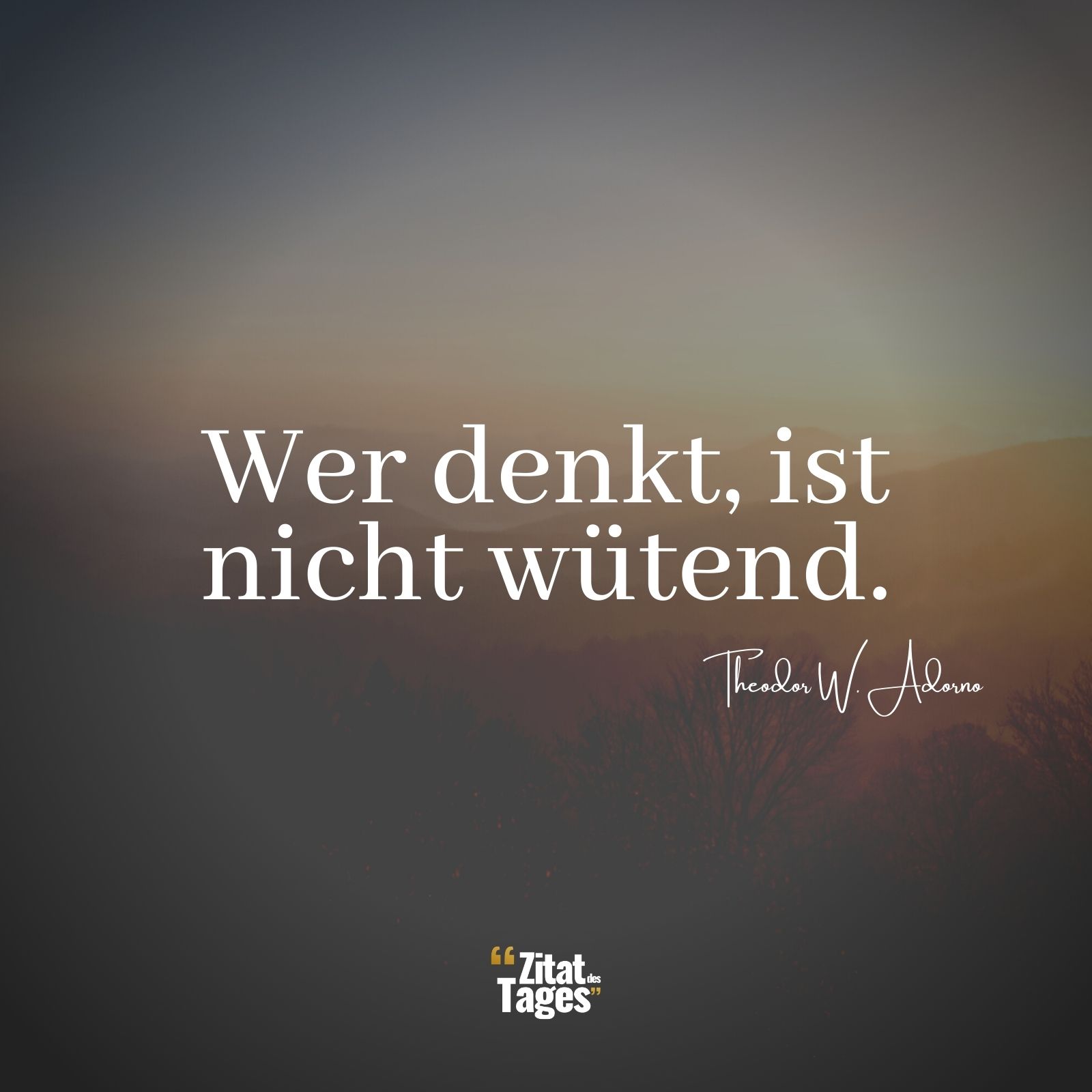 Wer denkt, ist nicht wütend. - Theodor W. Adorno