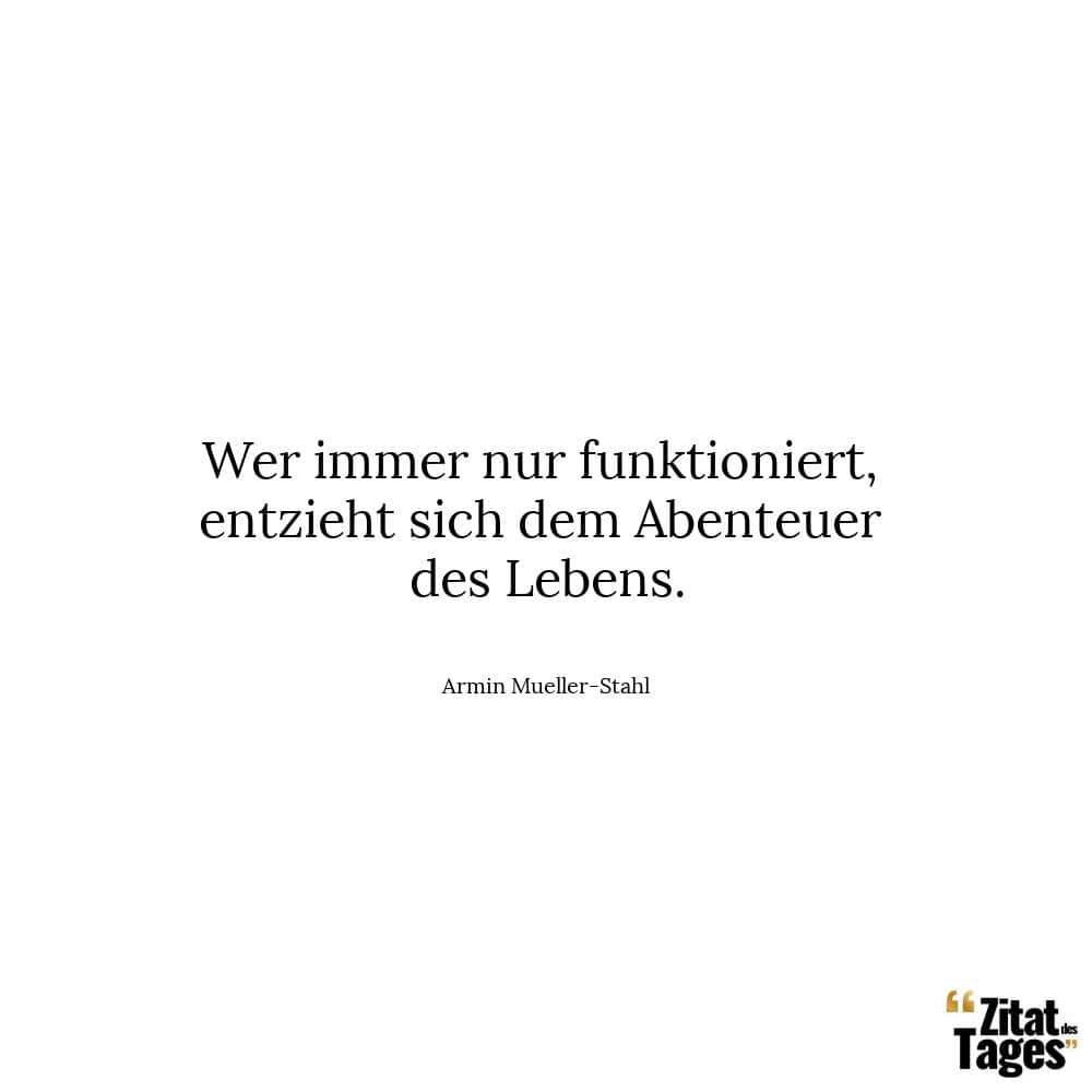 Wer immer nur funktioniert, entzieht sich dem Abenteuer des Lebens. - Armin Mueller-Stahl