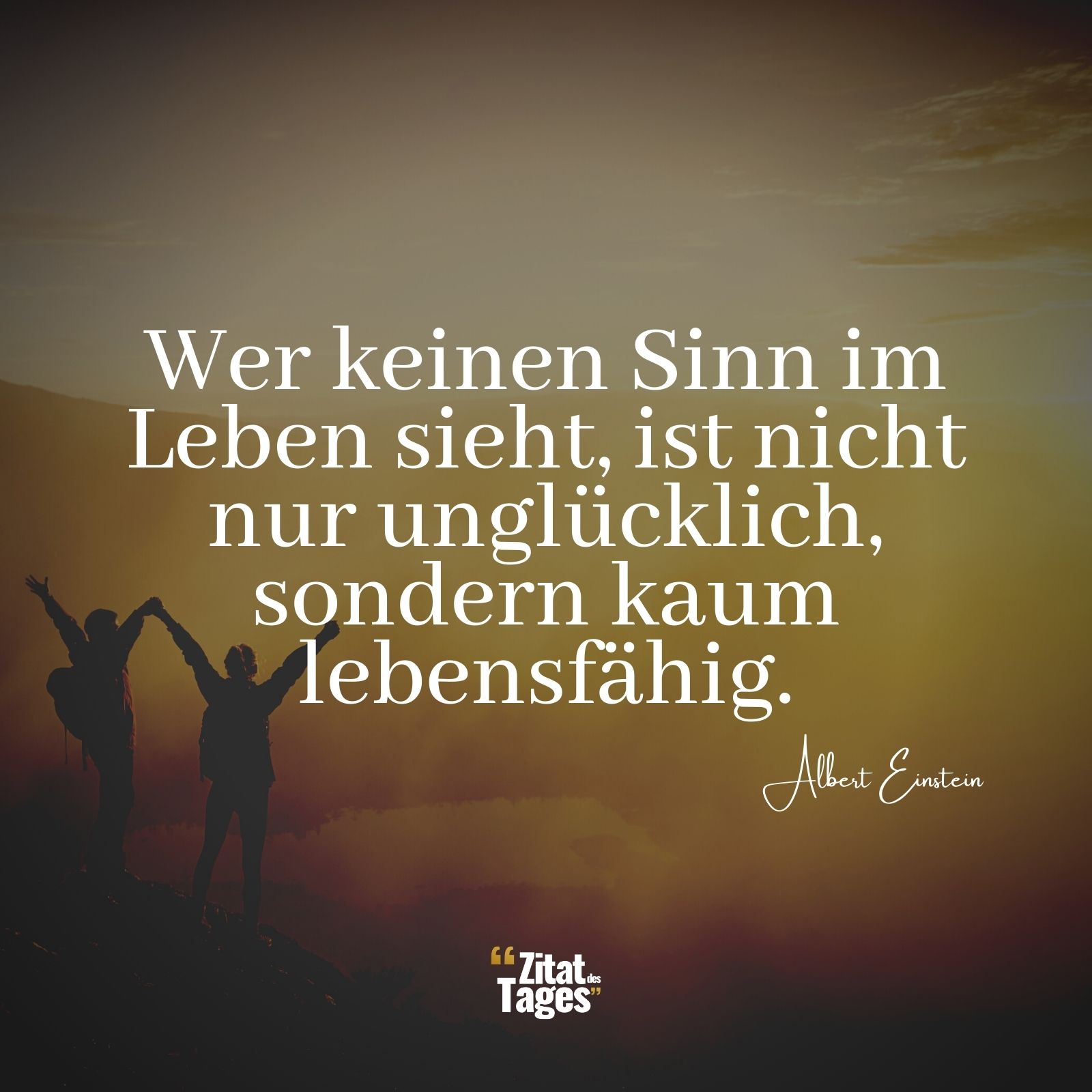 Wer keinen Sinn im Leben sieht, ist nicht nur unglücklich, sondern kaum lebensfähig. - Albert Einstein