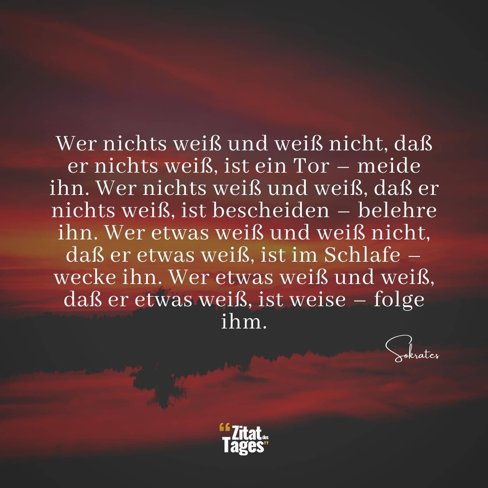 Wer nichts weiß und weiß nicht, daß er nichts weiß, ist ein Tor – meide ihn. Wer nichts weiß und weiß, daß er nichts weiß, ist bescheiden – belehre ihn. Wer etwas weiß und weiß nicht, daß er etwas weiß, ist im Schlafe – wecke ihn. Wer etwas weiß und weiß, daß er etwas weiß, ist weise – folge ihm. - Sokrates