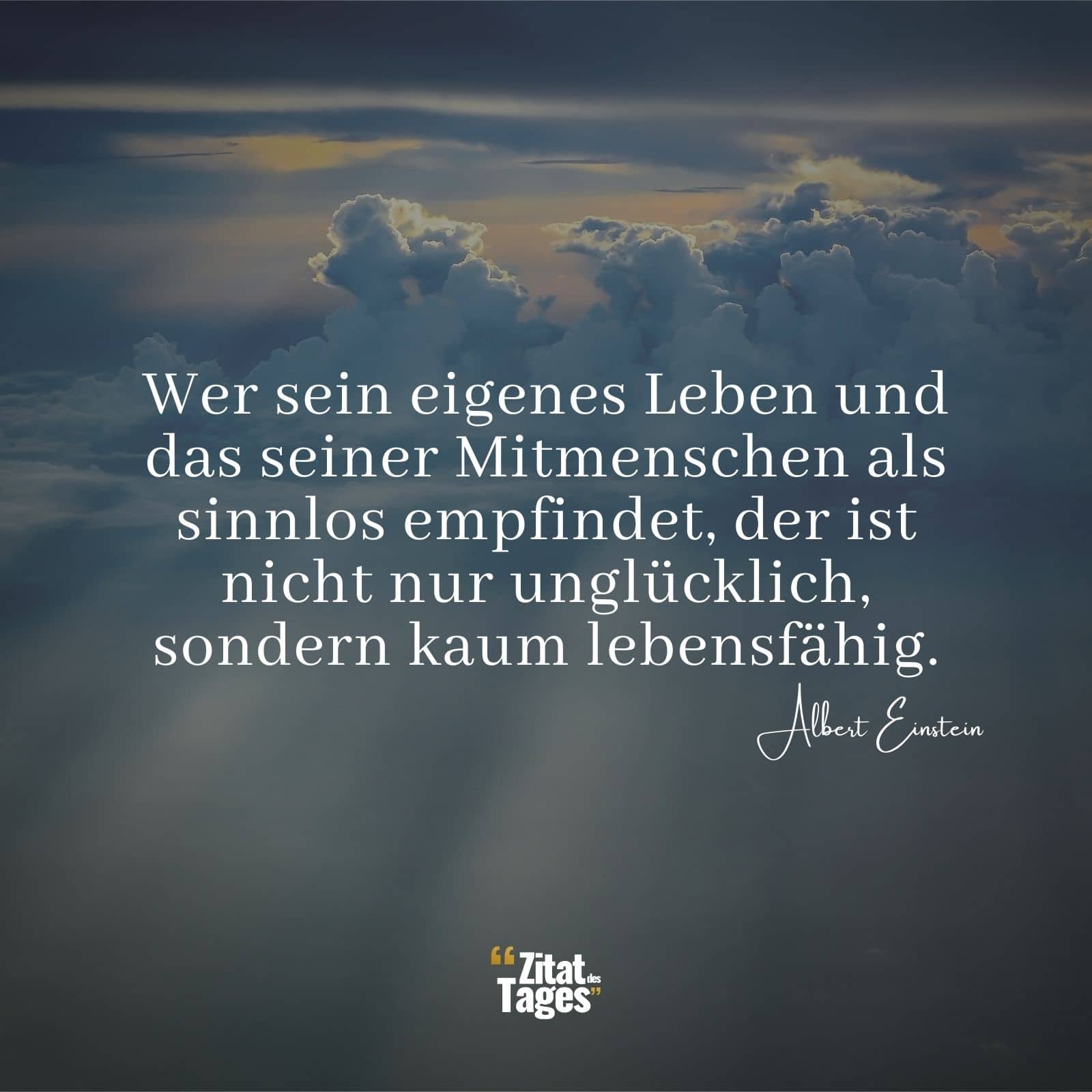 Wer sein eigenes Leben und das seiner Mitmenschen als sinnlos empfindet, der ist nicht nur unglücklich, sondern kaum lebensfähig. - Albert Einstein