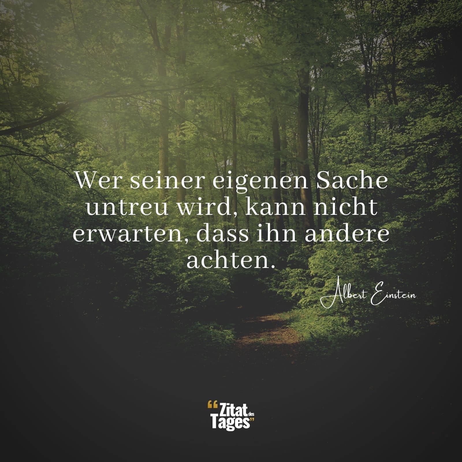 Wer seiner eigenen Sache untreu wird, kann nicht erwarten, dass ihn andere achten. - Albert Einstein