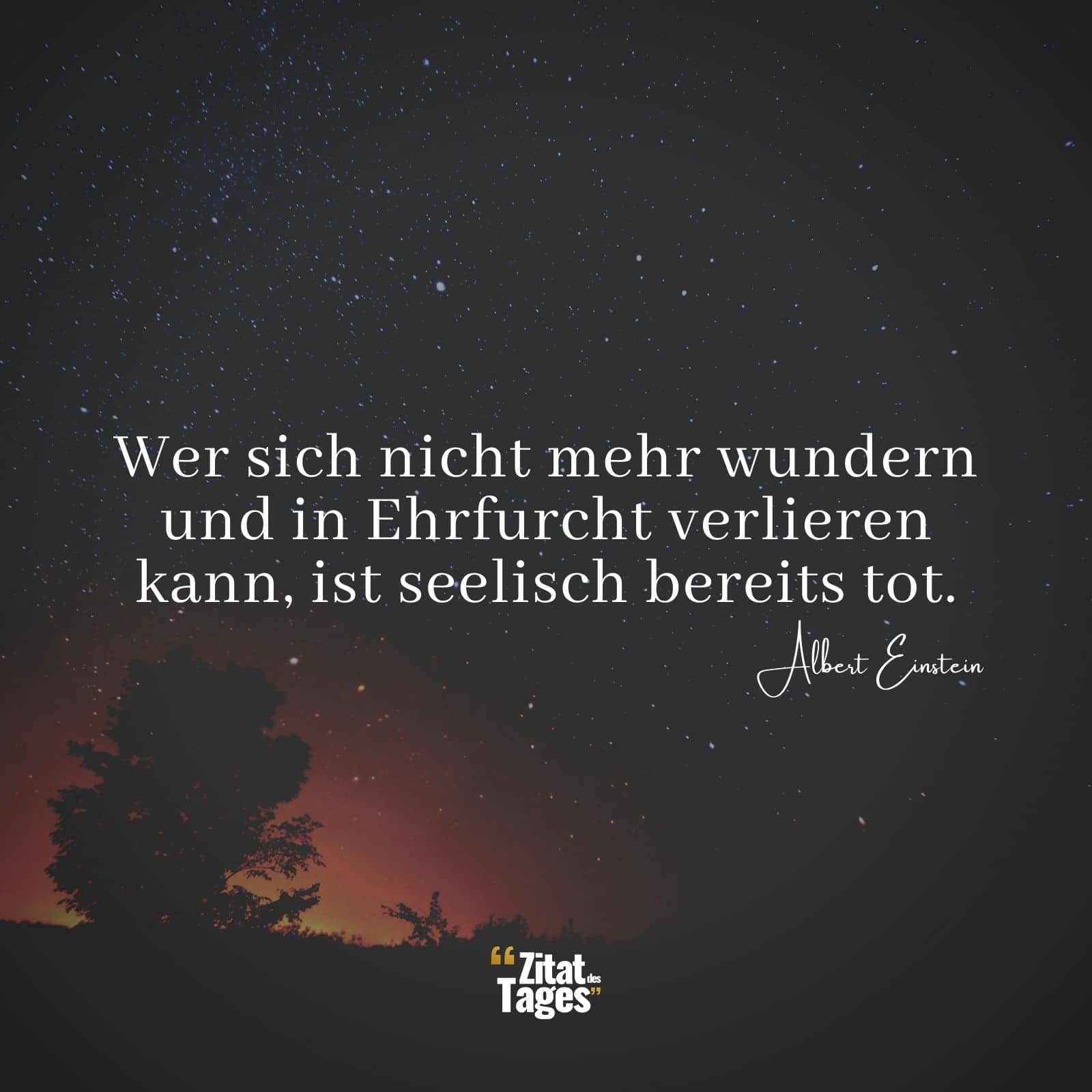 Wer sich nicht mehr wundern und in Ehrfurcht verlieren kann, ist seelisch bereits tot. - Albert Einstein