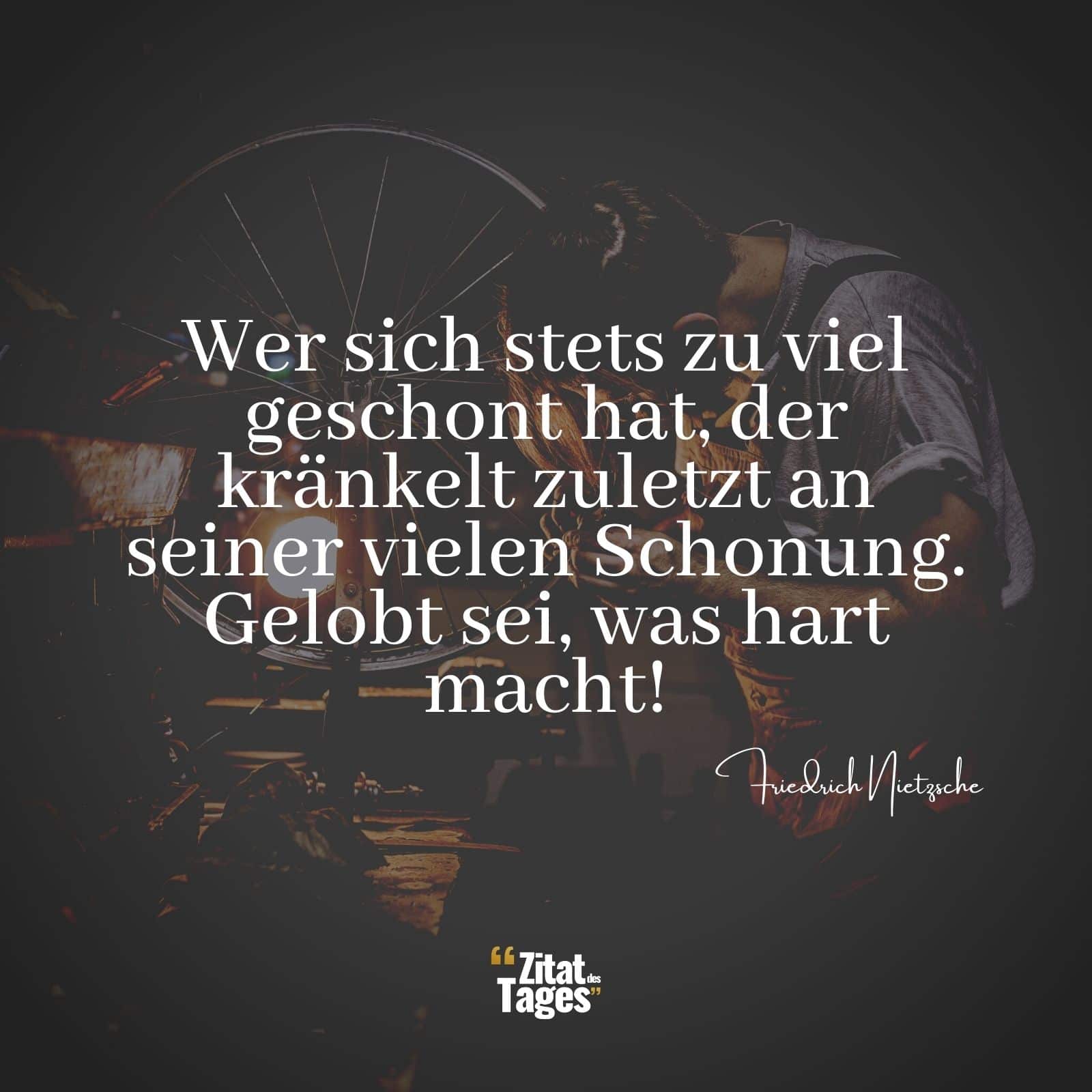 Wer sich stets zu viel geschont hat, der kränkelt zuletzt an seiner vielen Schonung. Gelobt sei, was hart macht! - Friedrich Nietzsche