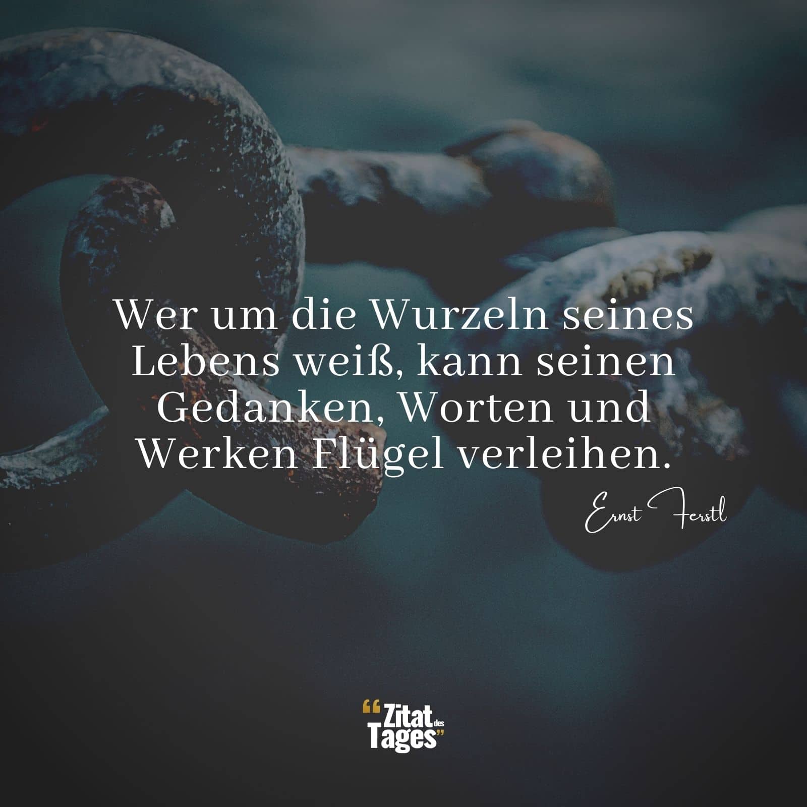 Wer Um Die Wurzeln Seines Lebens Weiss Kann Seinen Gedanken Worten Und Werken Flugel Verleihen Ernst Ferstl