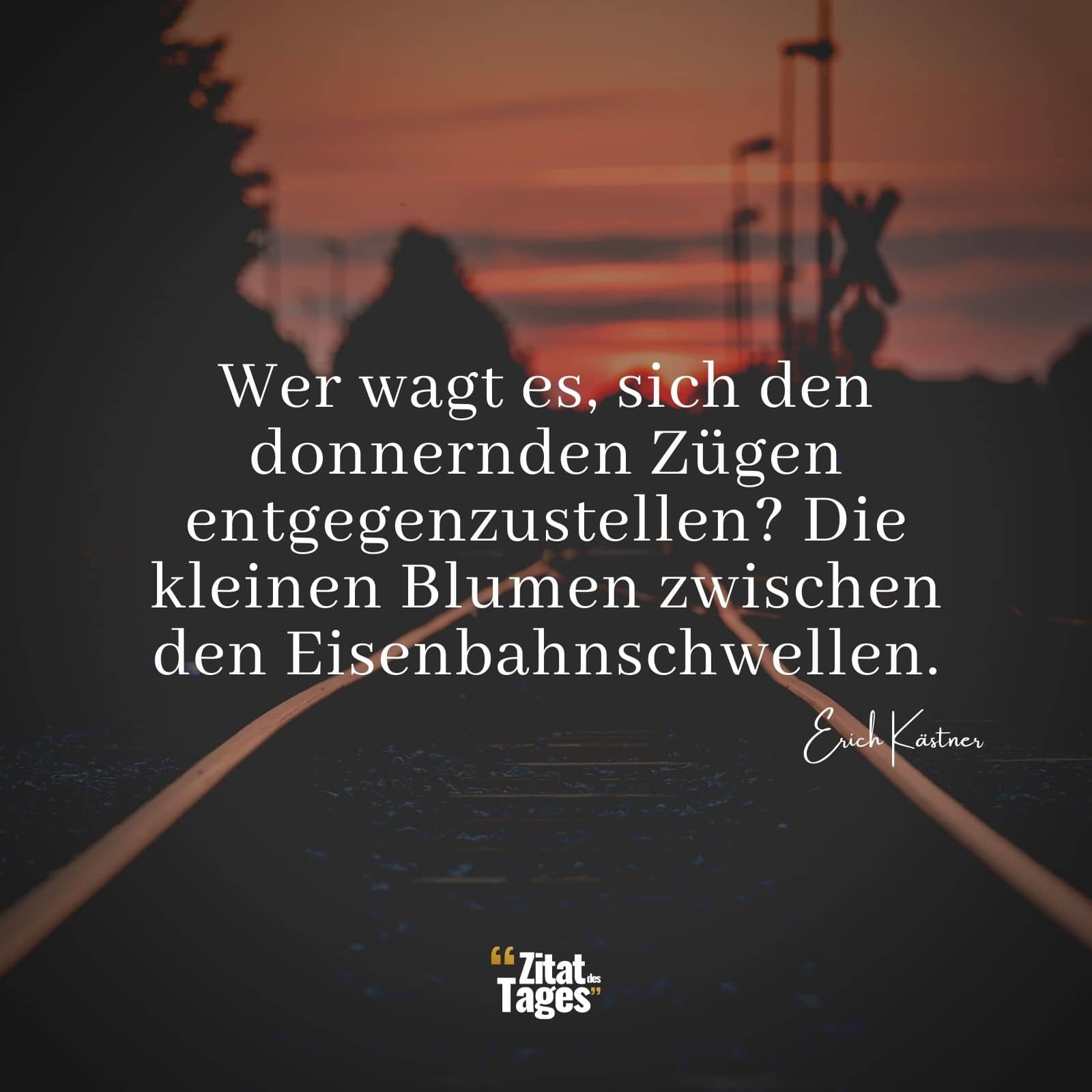 Wer wagt es, sich den donnernden Zügen entgegenzustellen? Die kleinen Blumen zwischen den Eisenbahnschwellen. - Erich Kästner