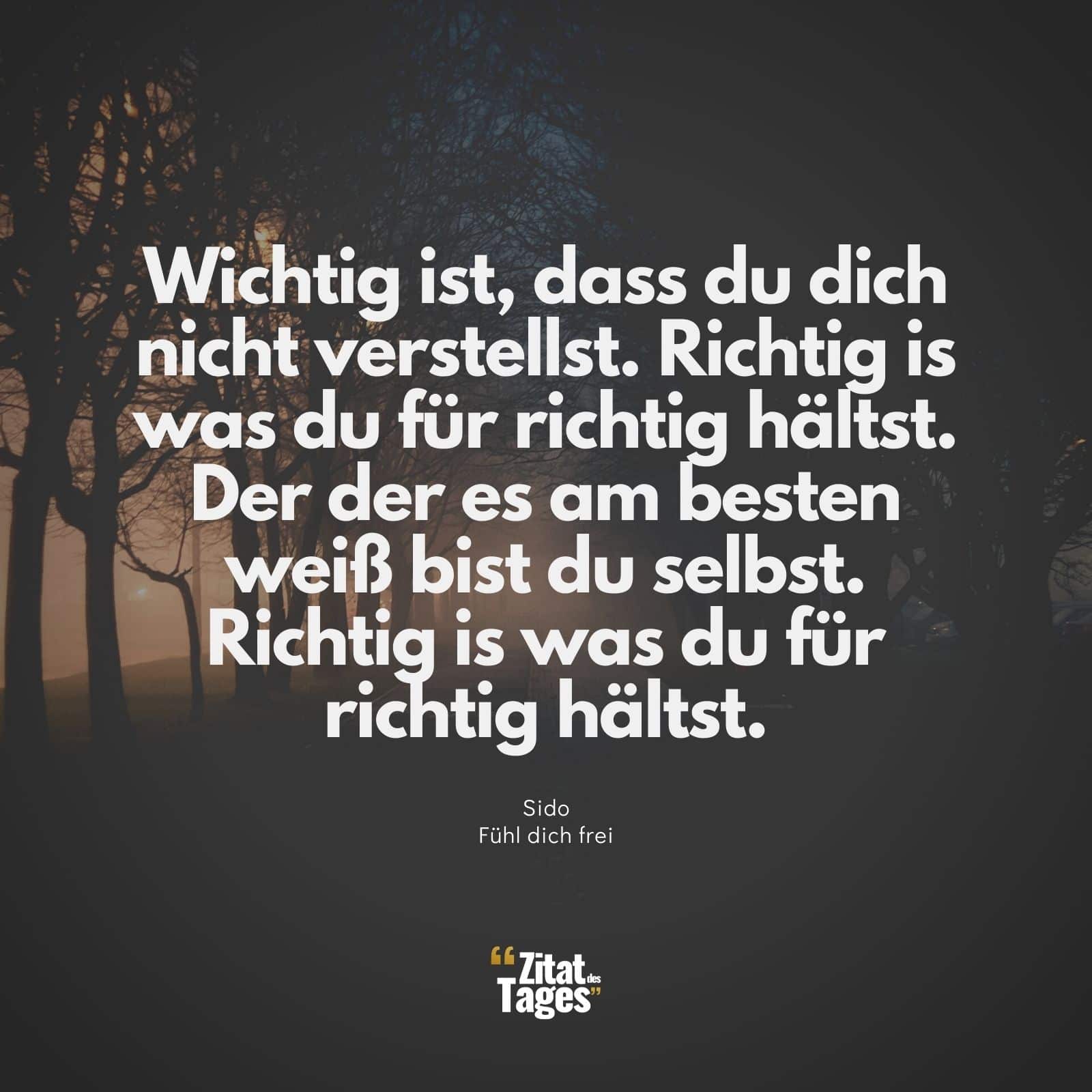 Wichtig ist, dass du dich nicht verstellst. Richtig is was du für richtig hältst. Der der es am besten weiß bist du selbst. Richtig is was du für richtig hältst. - Sido