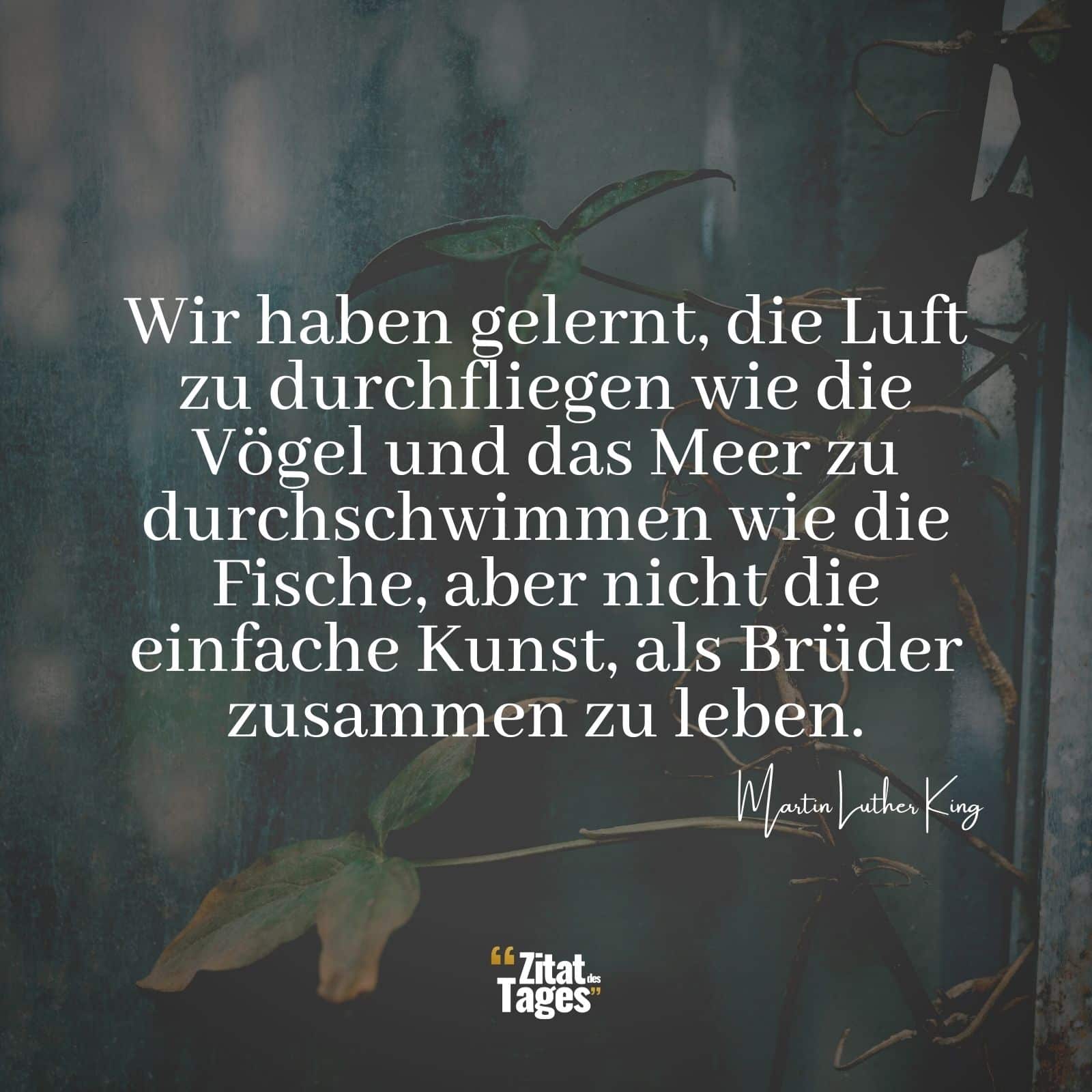 Wir haben gelernt, die Luft zu durchfliegen wie die Vögel und das Meer zu durchschwimmen wie die Fische, aber nicht die einfache Kunst, als Brüder zusammen zu leben. - Martin Luther King