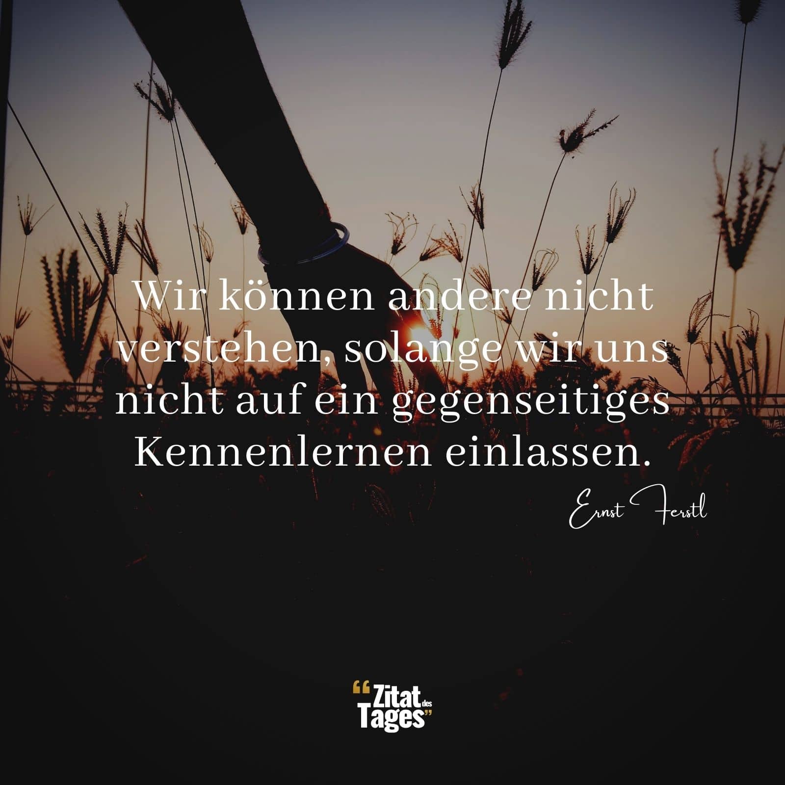 Wir können andere nicht verstehen, solange wir uns nicht auf ein gegenseitiges Kennenlernen einlassen. - Ernst Ferstl