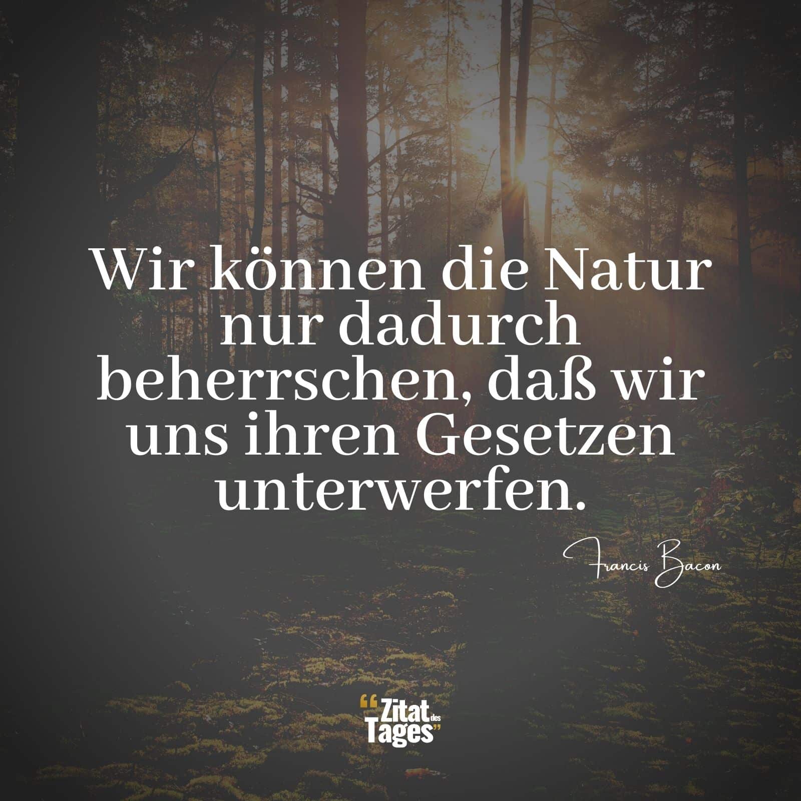 Wir können die Natur nur dadurch beherrschen, daß wir uns ihren Gesetzen unterwerfen. - Francis Bacon