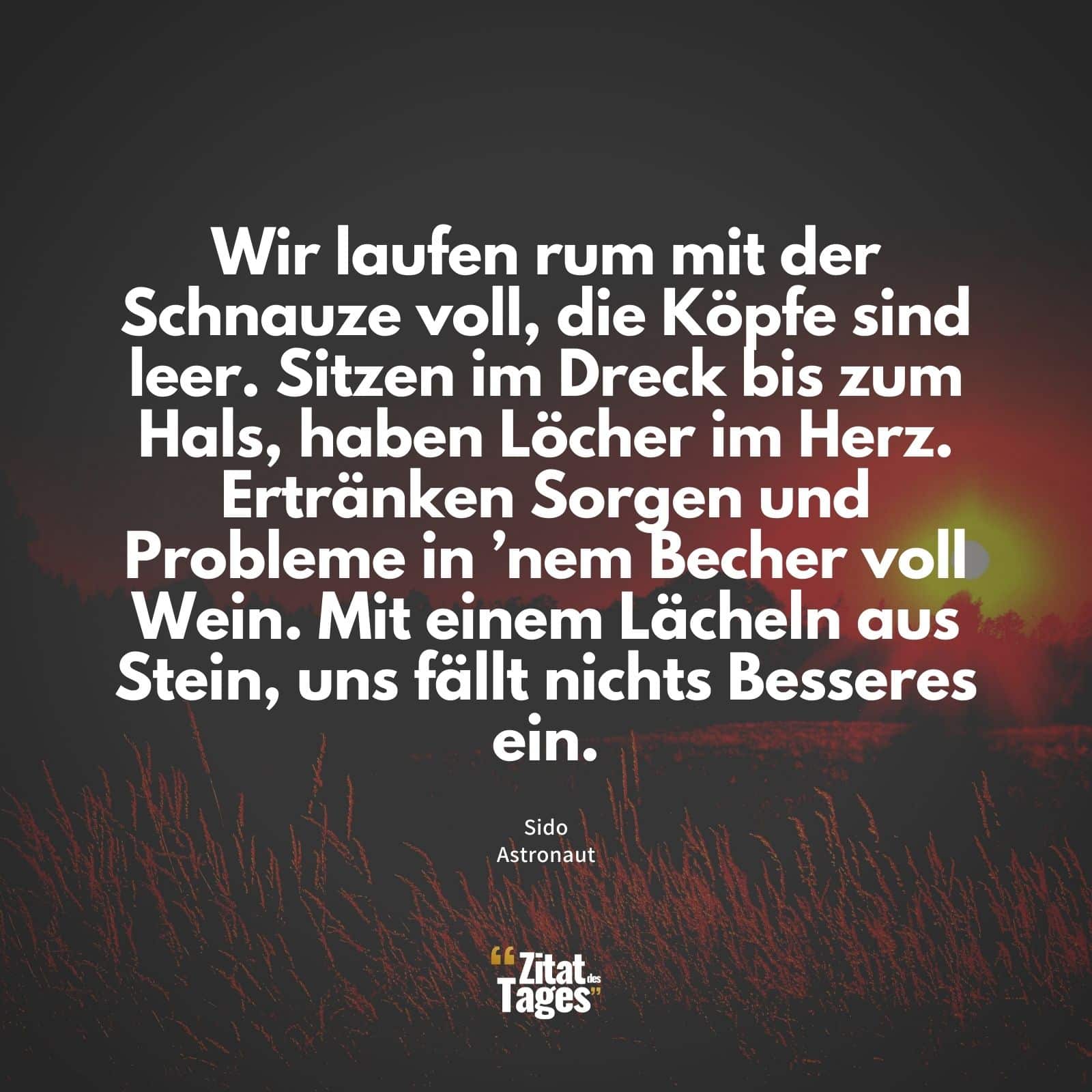 Wir laufen rum mit der Schnauze voll, die Köpfe sind leer. Sitzen im Dreck bis zum Hals, haben Löcher im Herz. Ertränken Sorgen und Probleme in ’nem Becher voll Wein. Mit einem Lächeln aus Stein, uns fällt nichts Besseres ein. - Sido