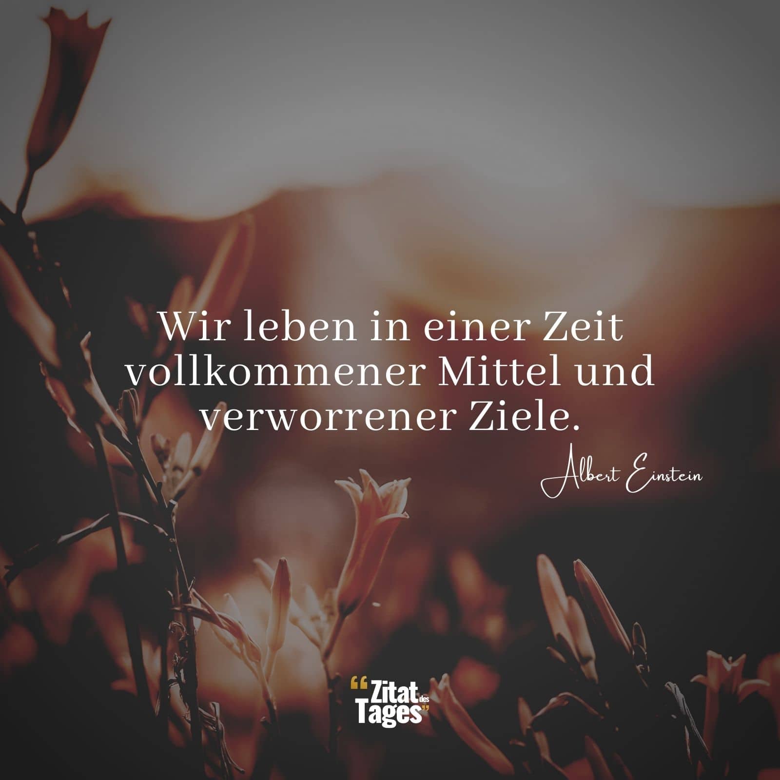 Wir leben in einer Zeit vollkommener Mittel und verworrener Ziele. - Albert Einstein