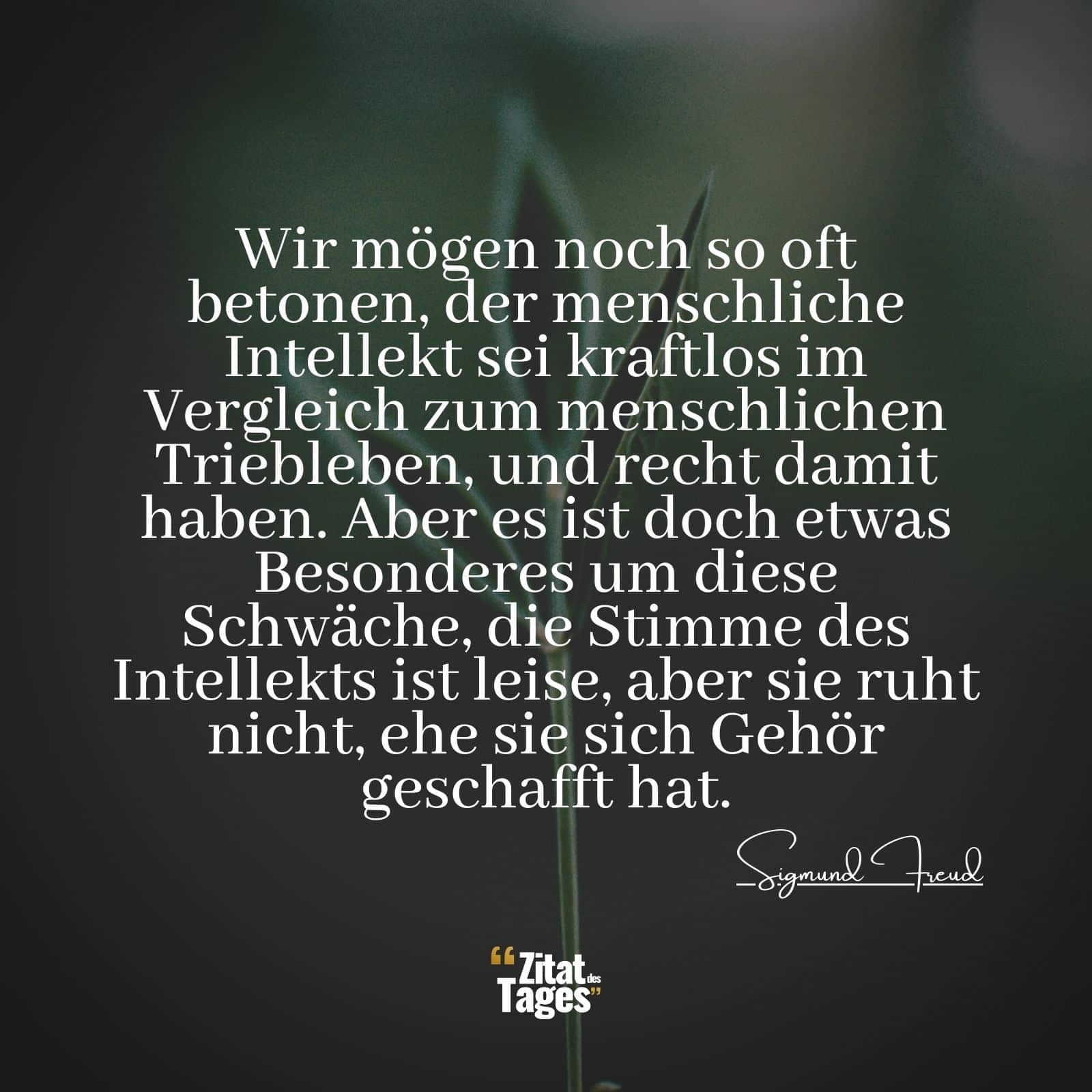 Wir mögen noch so oft betonen, der menschliche Intellekt sei kraftlos im Vergleich zum menschlichen Triebleben, und recht damit haben. Aber es ist doch etwas Besonderes um diese Schwäche, die Stimme des Intellekts ist leise, aber sie ruht nicht, ehe sie sich Gehör geschafft hat. - Sigmund Freud