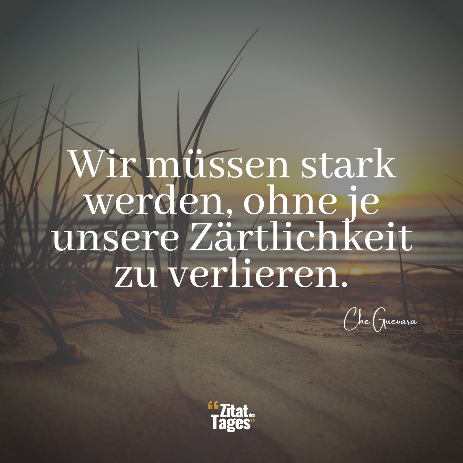 Wir müssen stark werden, ohne je unsere Zärtlichkeit zu verlieren. - Che Guevara