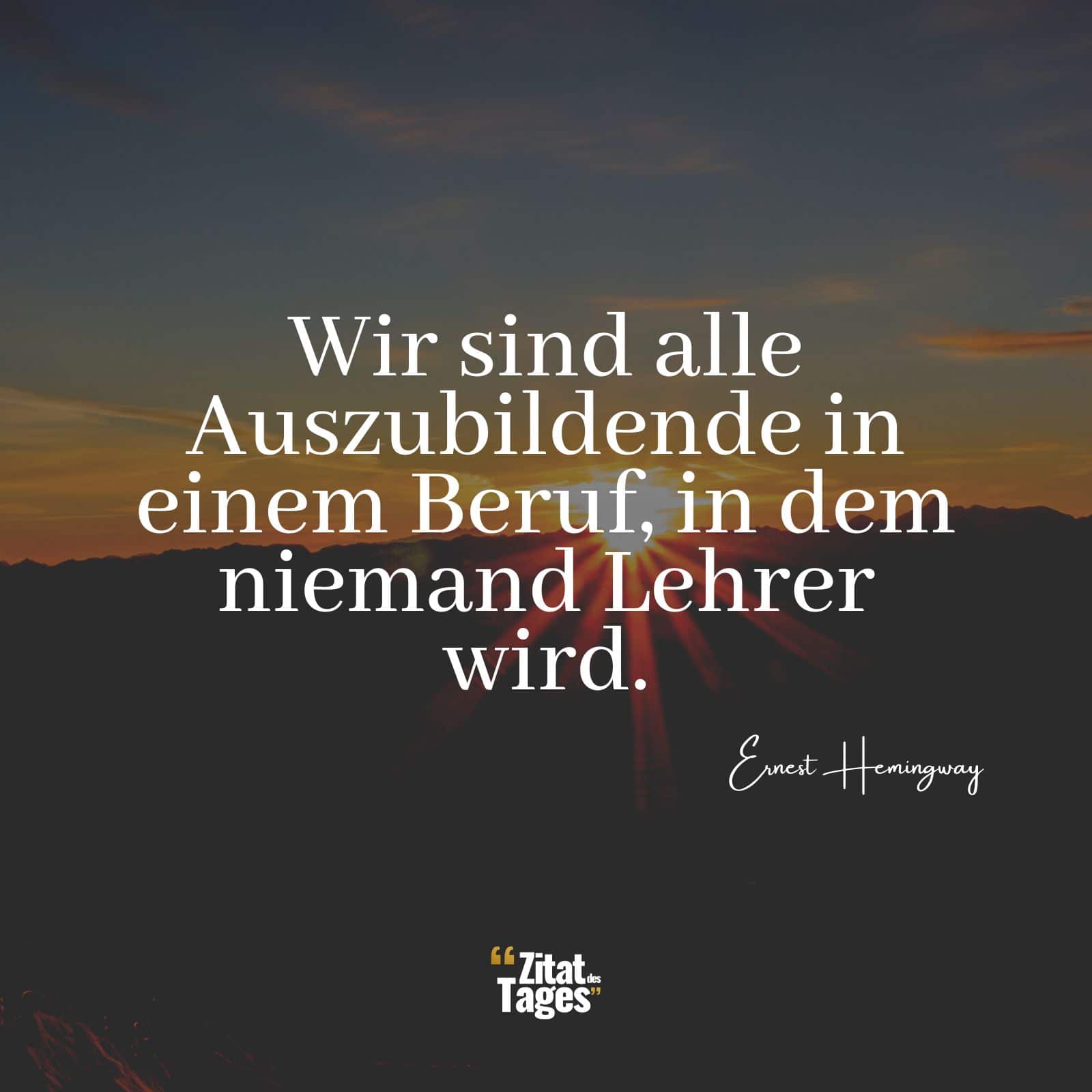 Wir sind alle Auszubildende in einem Beruf, in dem niemand Lehrer wird. - Ernest Hemingway