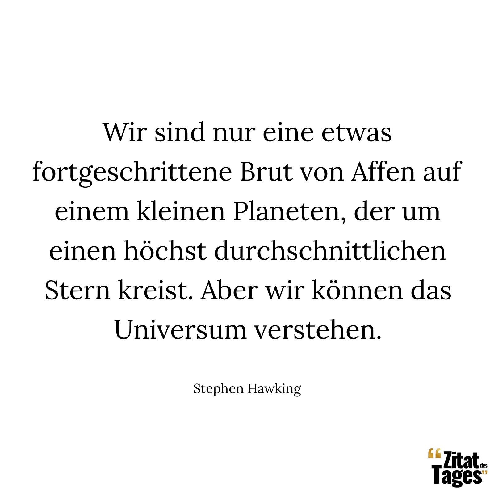 Wir sind nur eine etwas fortgeschrittene Brut von Affen auf einem kleinen Planeten, der um einen höchst durchschnittlichen Stern kreist. Aber wir können das Universum verstehen. - Stephen Hawking