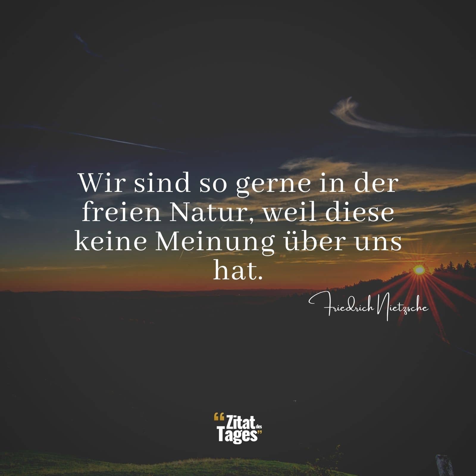 Wir sind so gerne in der freien Natur, weil diese keine Meinung über uns hat. - Friedrich Nietzsche