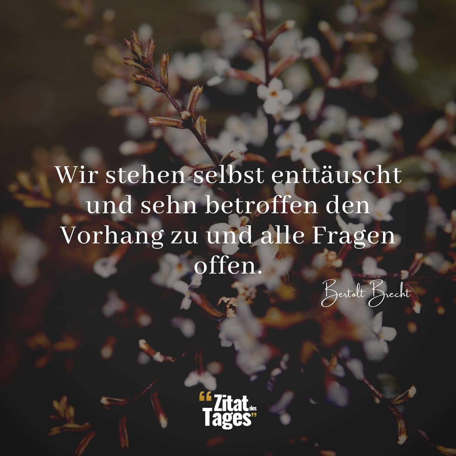 Wir Stehen Selbst Enttauscht Und Sehn Betroffen Den Vorhang Zu Und Alle Fragen Offen Bertolt Brecht