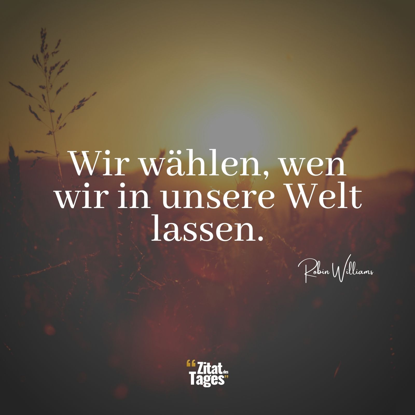 Wir wählen, wen wir in unsere Welt lassen. - Robin Williams