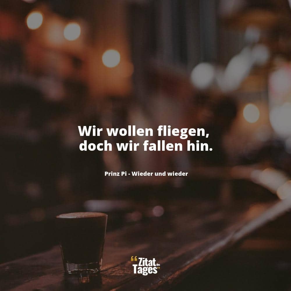 Wir wollen fliegen, doch wir fallen hin. - Prinz Pi