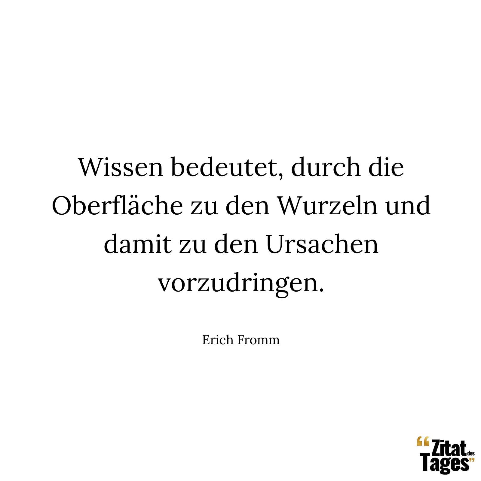 Wissen bedeutet, durch die Oberfläche zu den Wurzeln und damit zu den Ursachen vorzudringen. - Erich Fromm