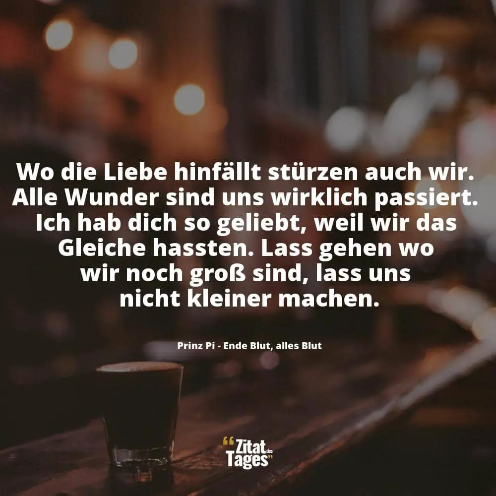 Wo die Liebe hinfällt stürzen auch wir. Alle Wunder sind uns wirklich passiert. Ich hab dich so geliebt, weil wir das Gleiche hassten. Lass gehen wo wir noch groß sind, lass uns nicht kleiner machen. - Prinz Pi