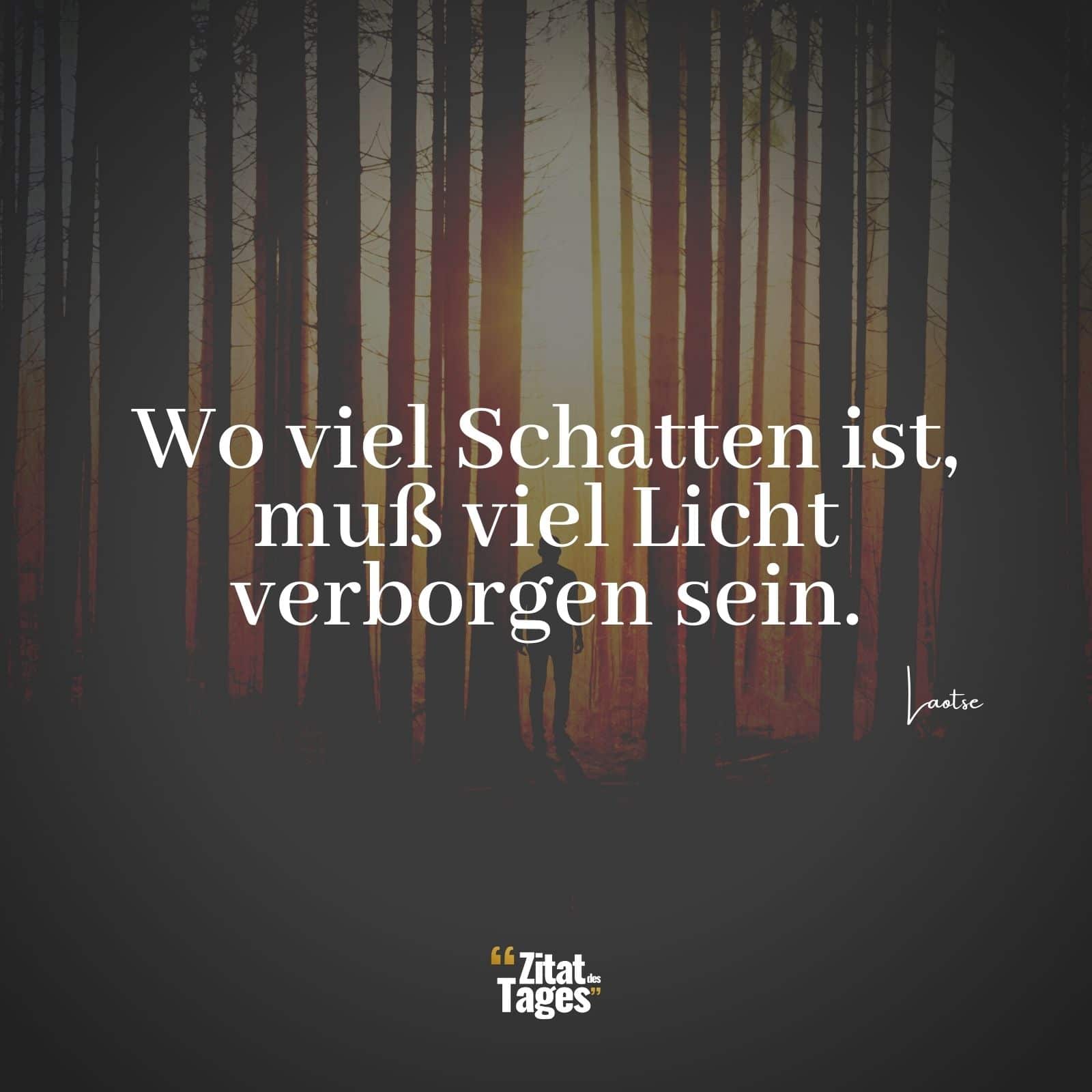 Wo viel Schatten ist, muß viel Licht verborgen sein. - Laotse