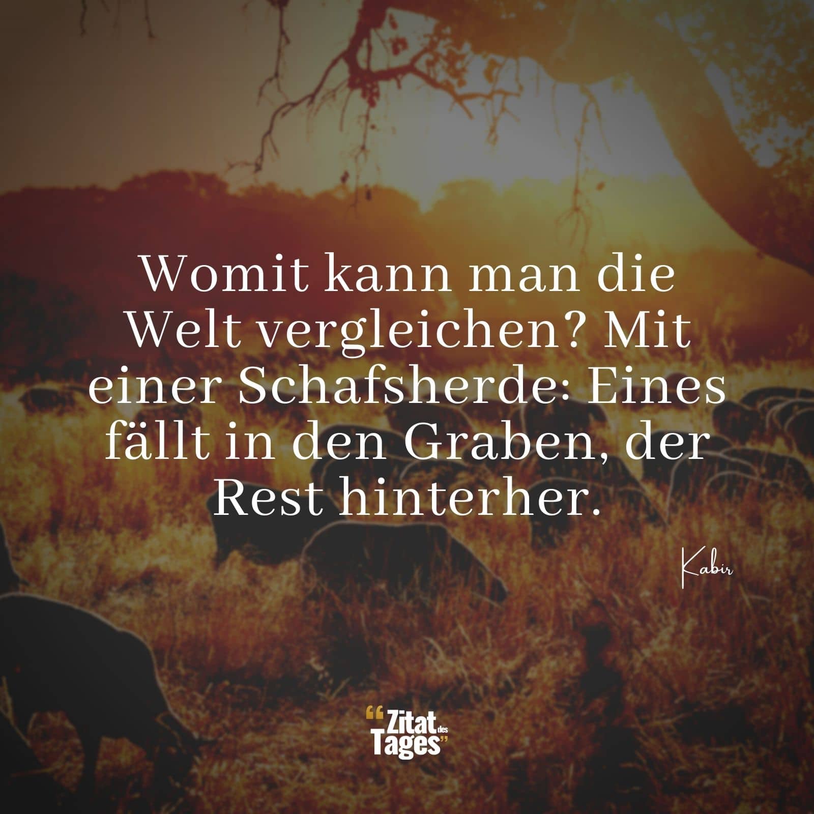 Womit kann man die Welt vergleichen? Mit einer Schafsherde: Eines fällt in den Graben, der Rest hinterher. - Kabir