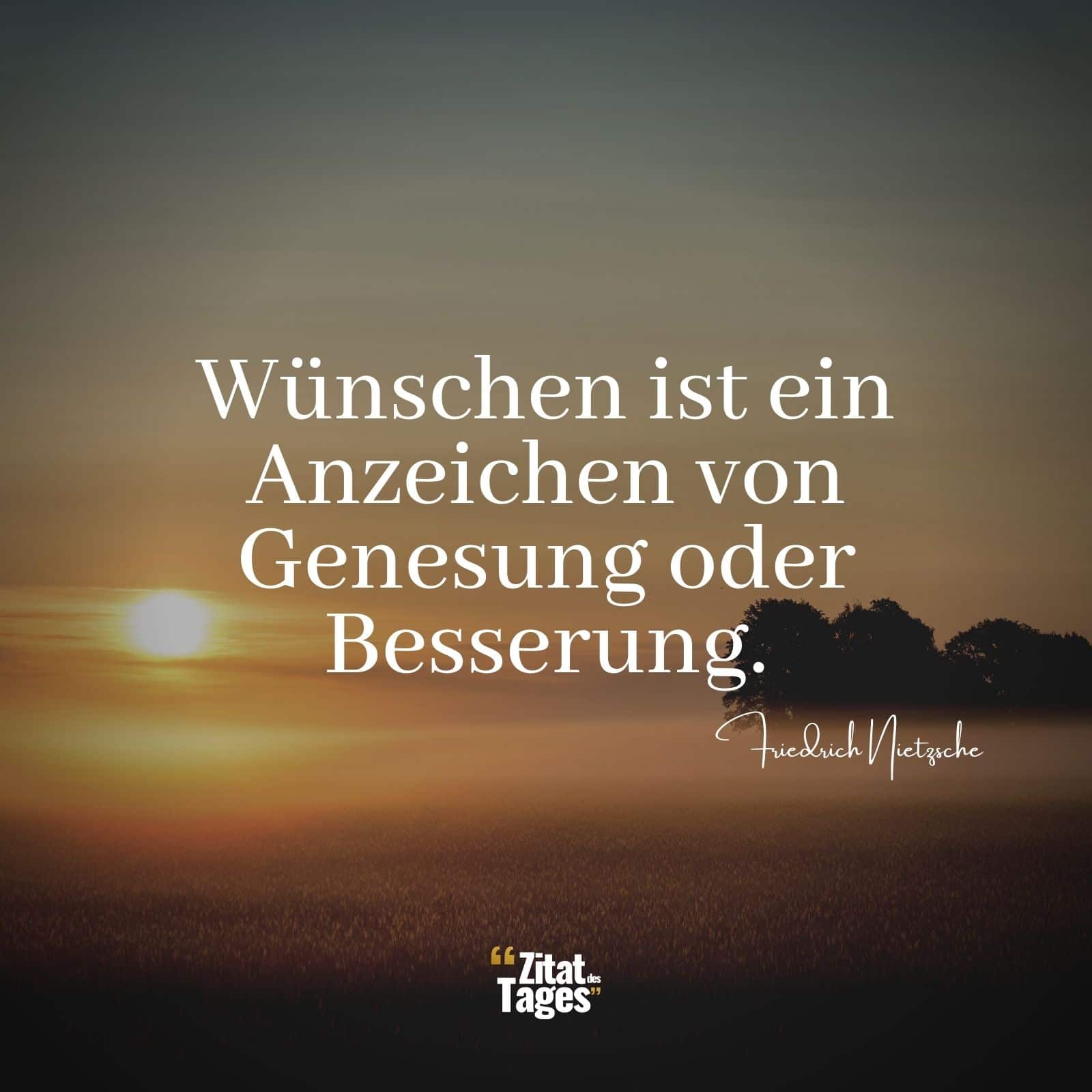 Wünschen ist ein Anzeichen von Genesung oder Besserung. - Friedrich Nietzsche