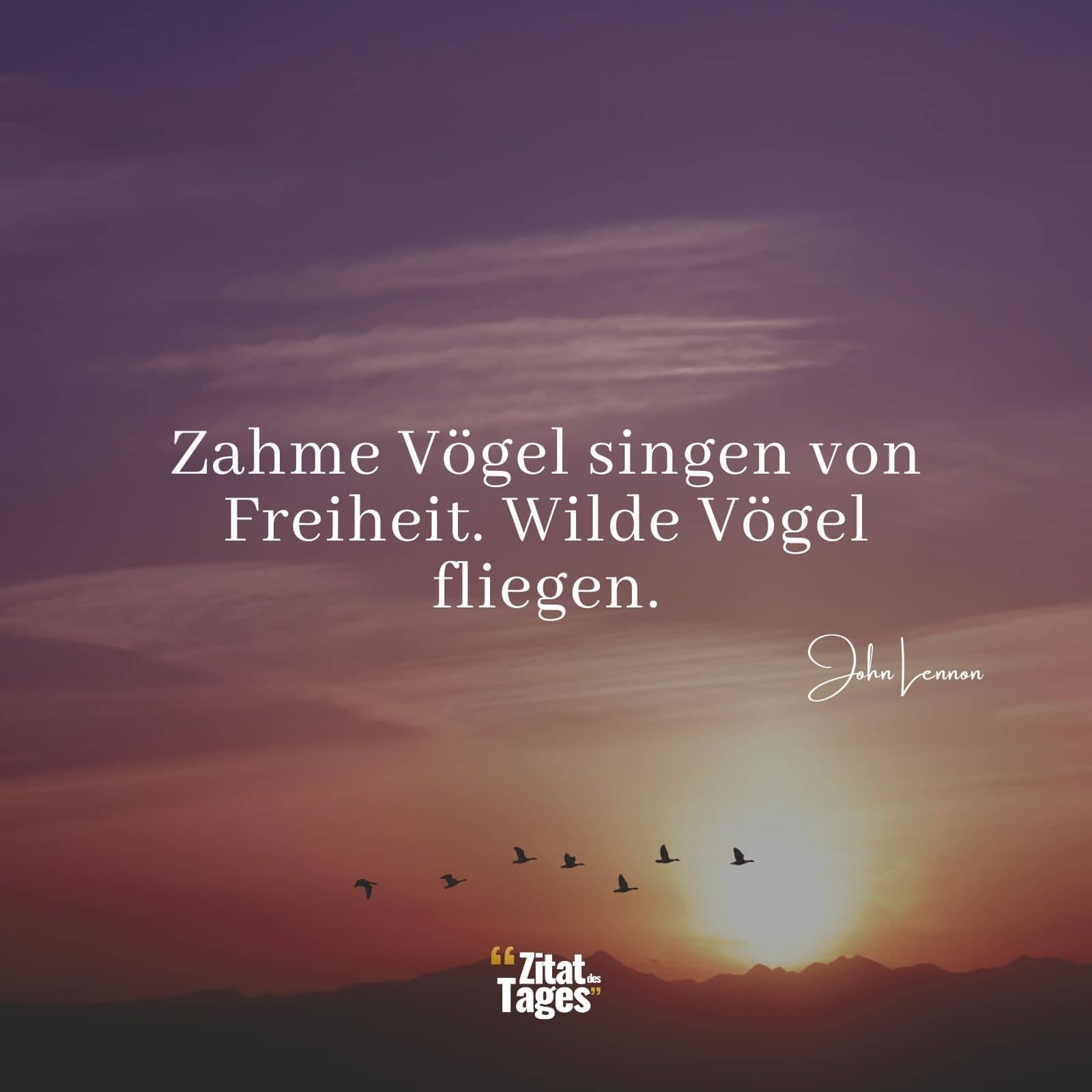 Zahme Vögel singen von Freiheit. Wilde Vögel fliegen. - John Lennon