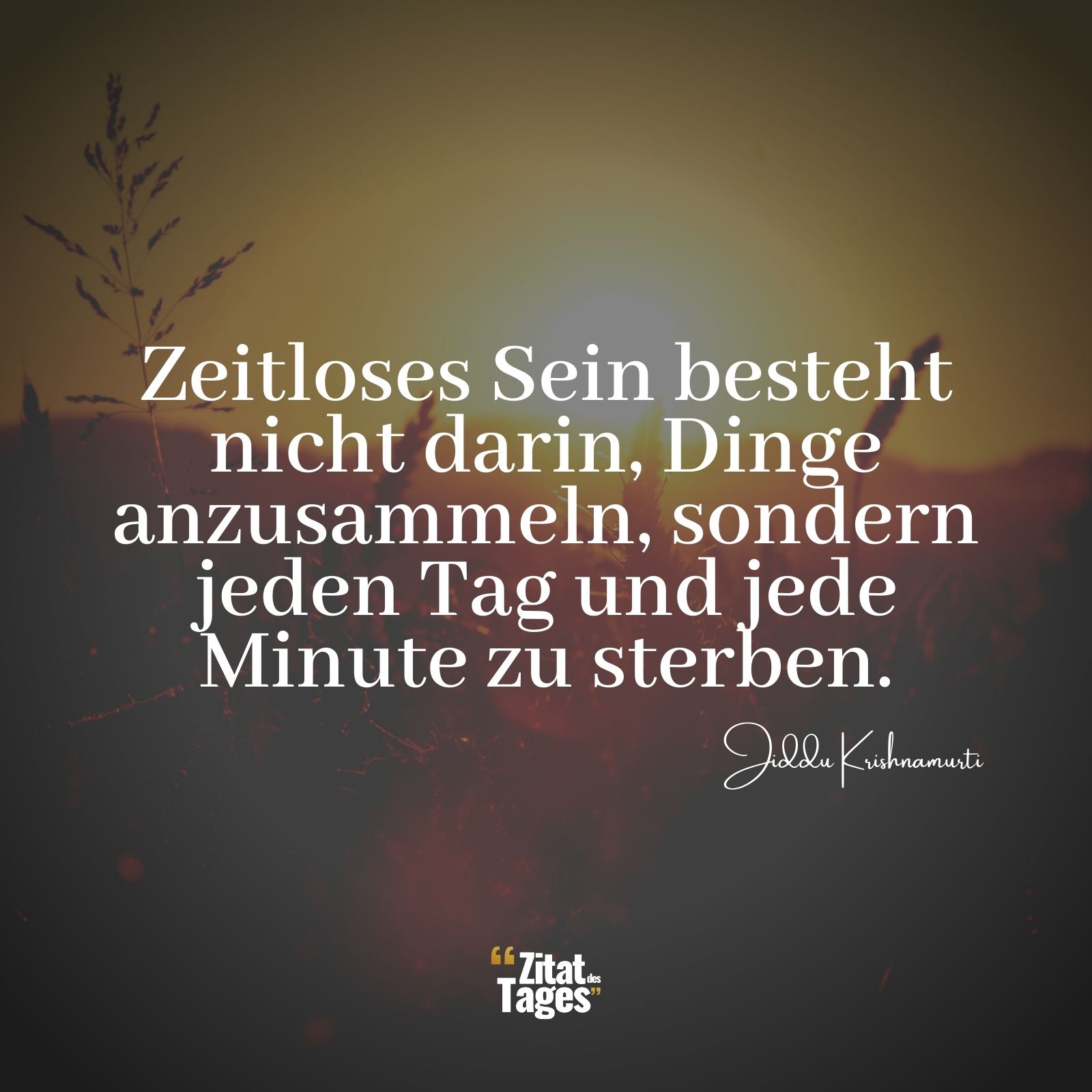 Zeitloses Sein besteht nicht darin, Dinge anzusammeln, sondern jeden Tag und jede Minute zu sterben. - Jiddu Krishnamurti